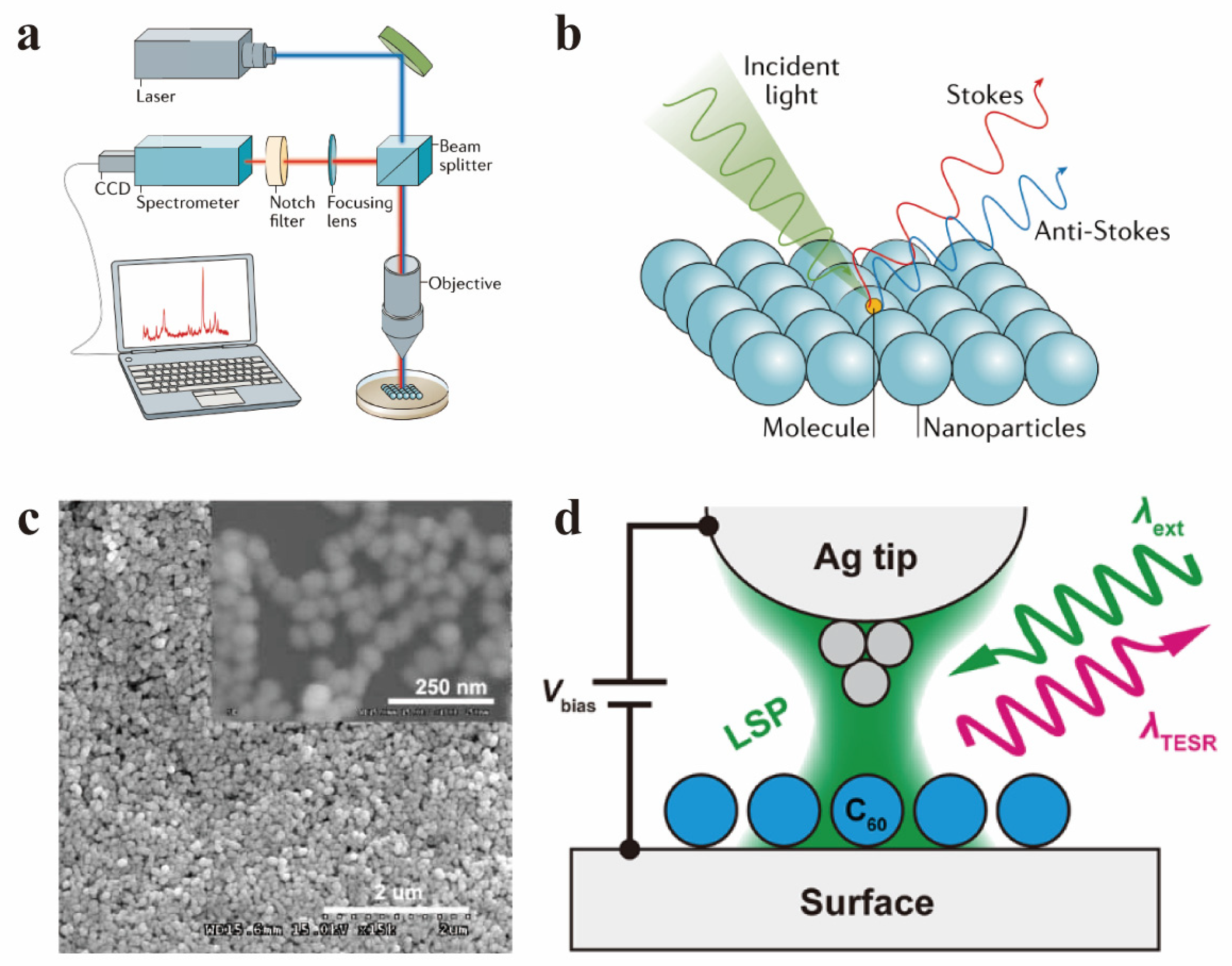 Molecules 30 00738 g004