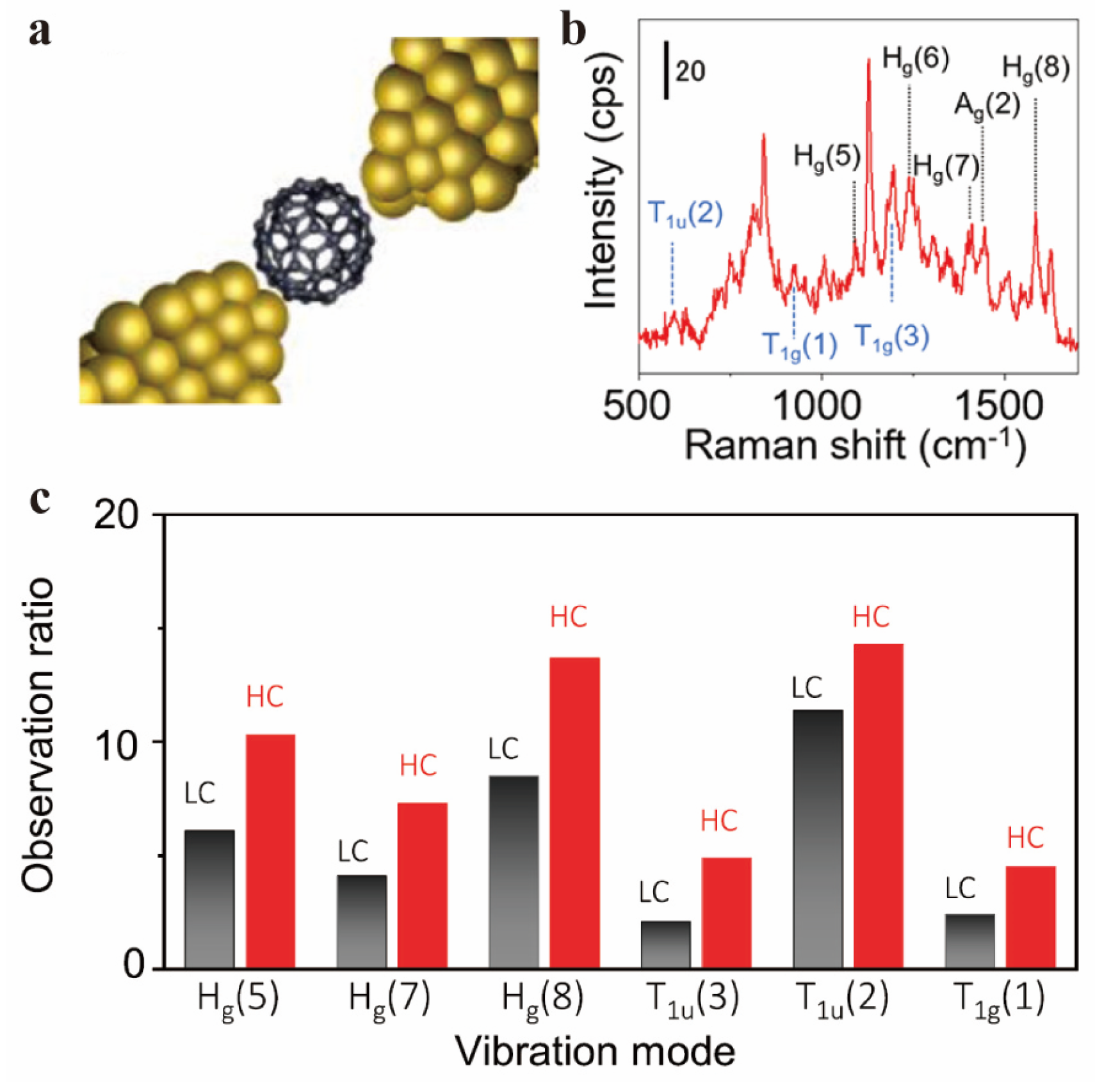 Molecules 30 00738 g014