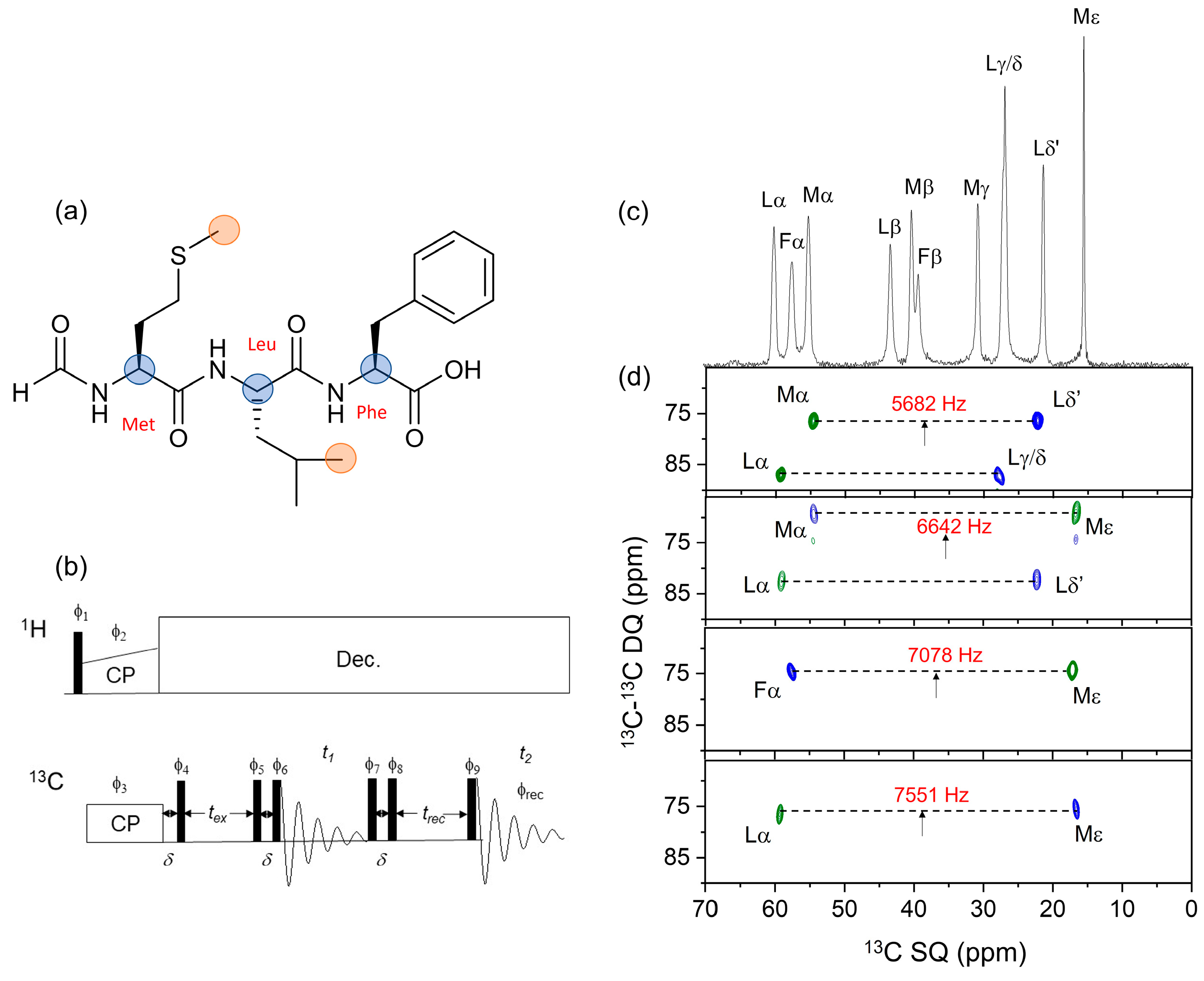 Molecules 30 00739 g001