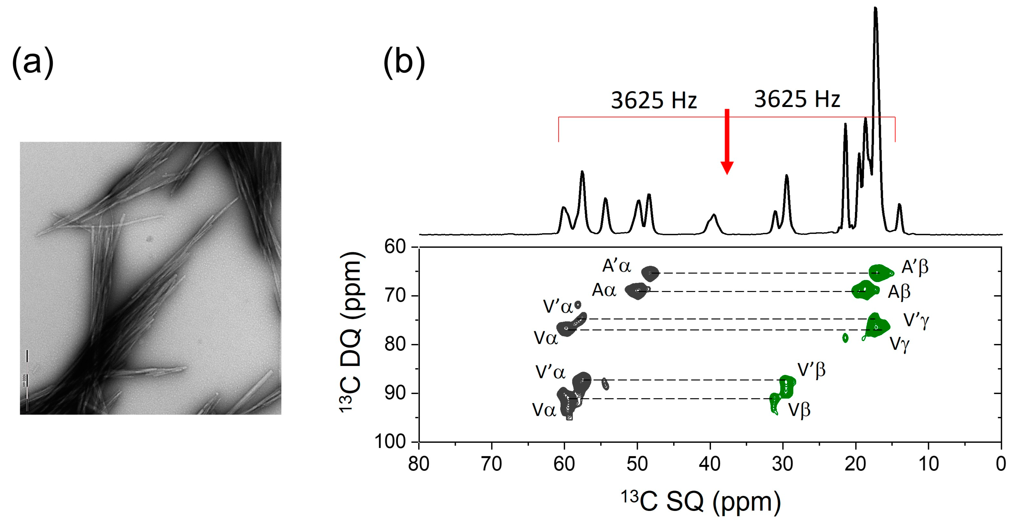 Molecules 30 00739 g005