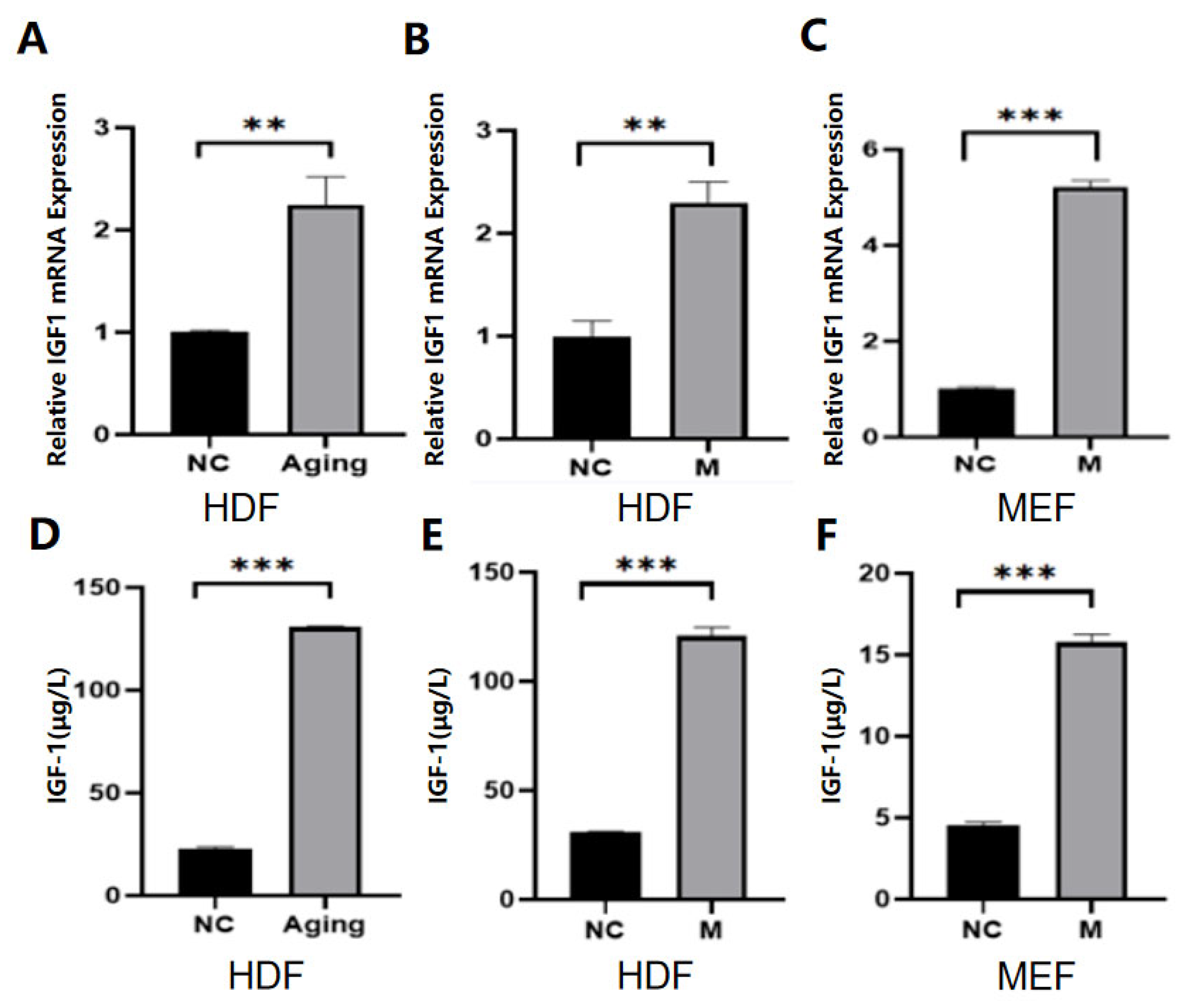 Molecules 30 00740 g001