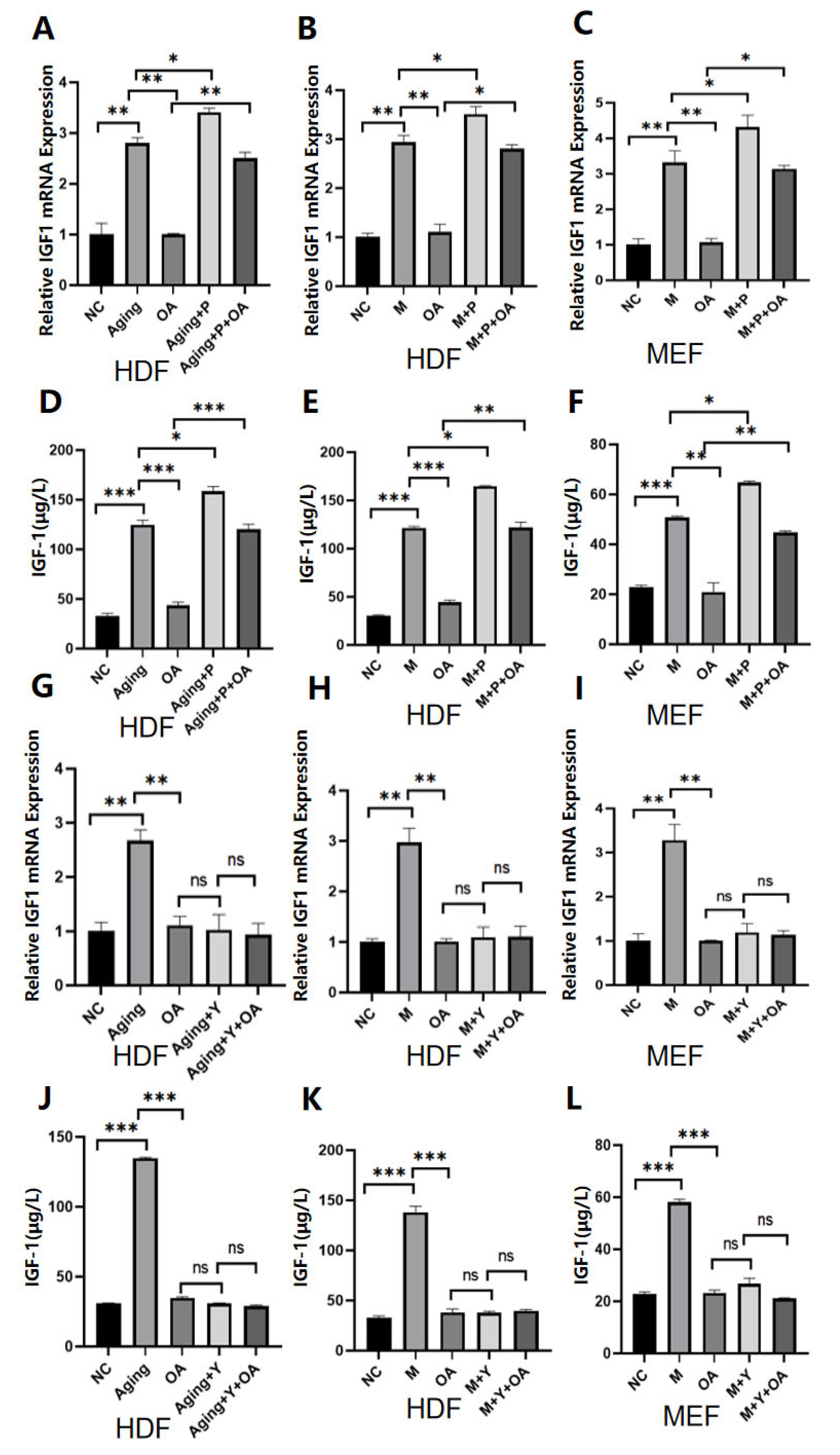 Molecules 30 00740 g004