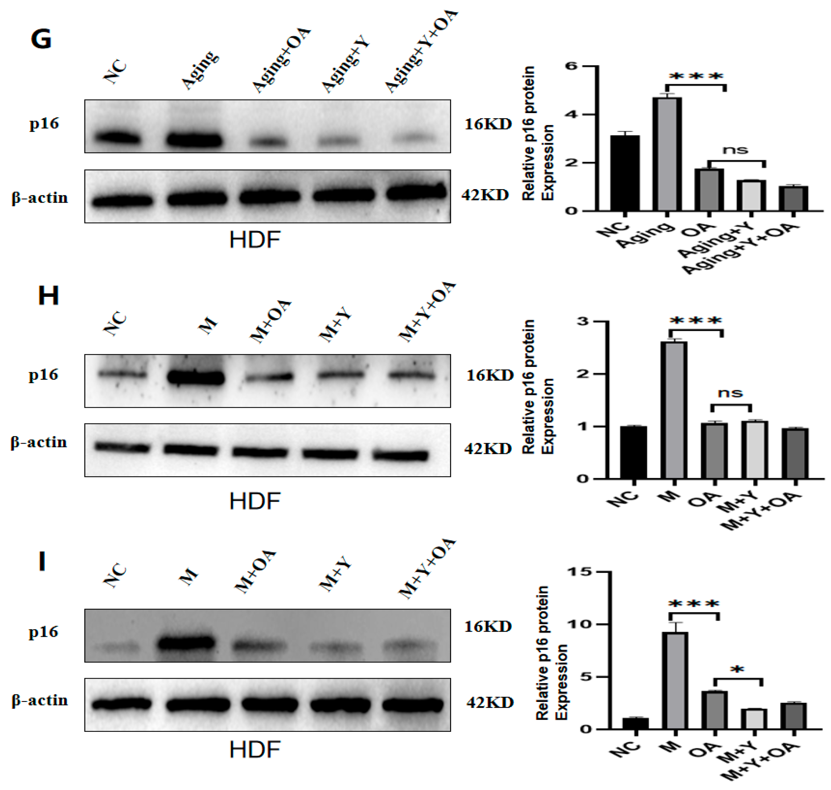 Molecules 30 00740 g006b