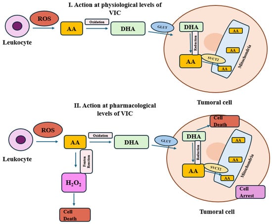 Molecules 30 00748 g004