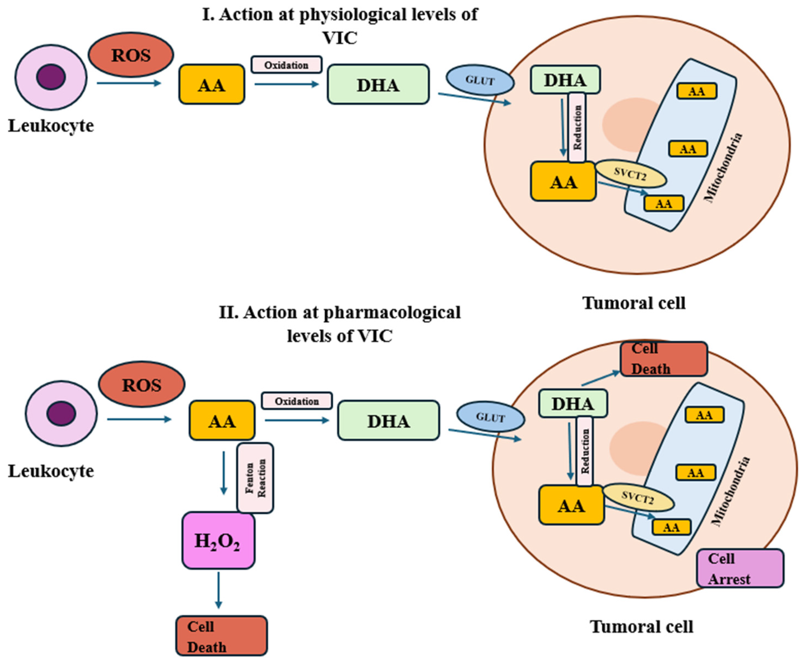 Molecules 30 00748 g004