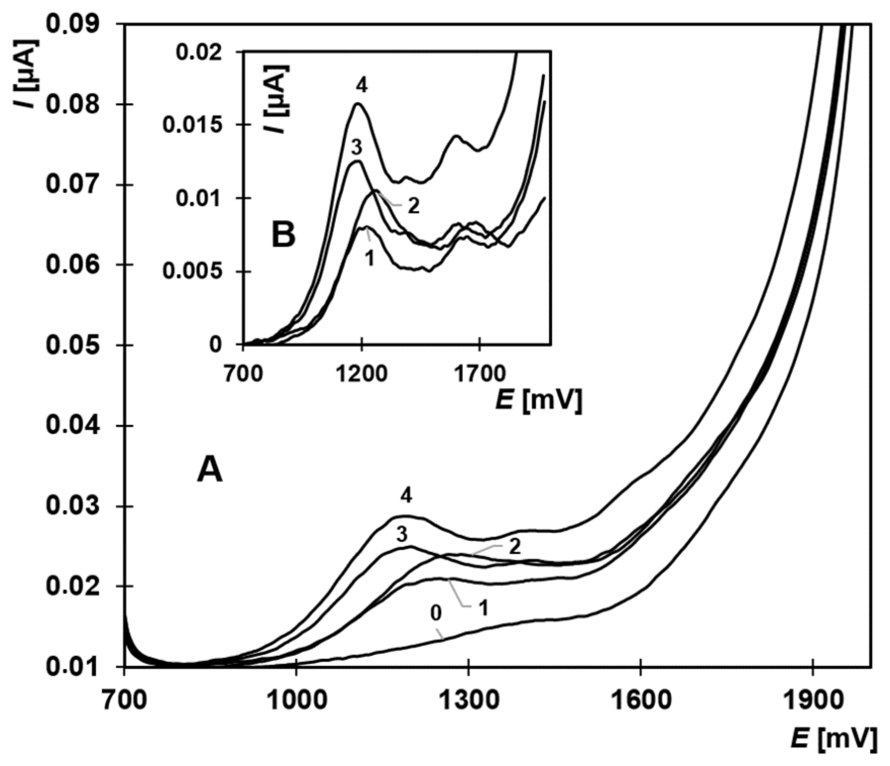 Molecules 30 00751 g003