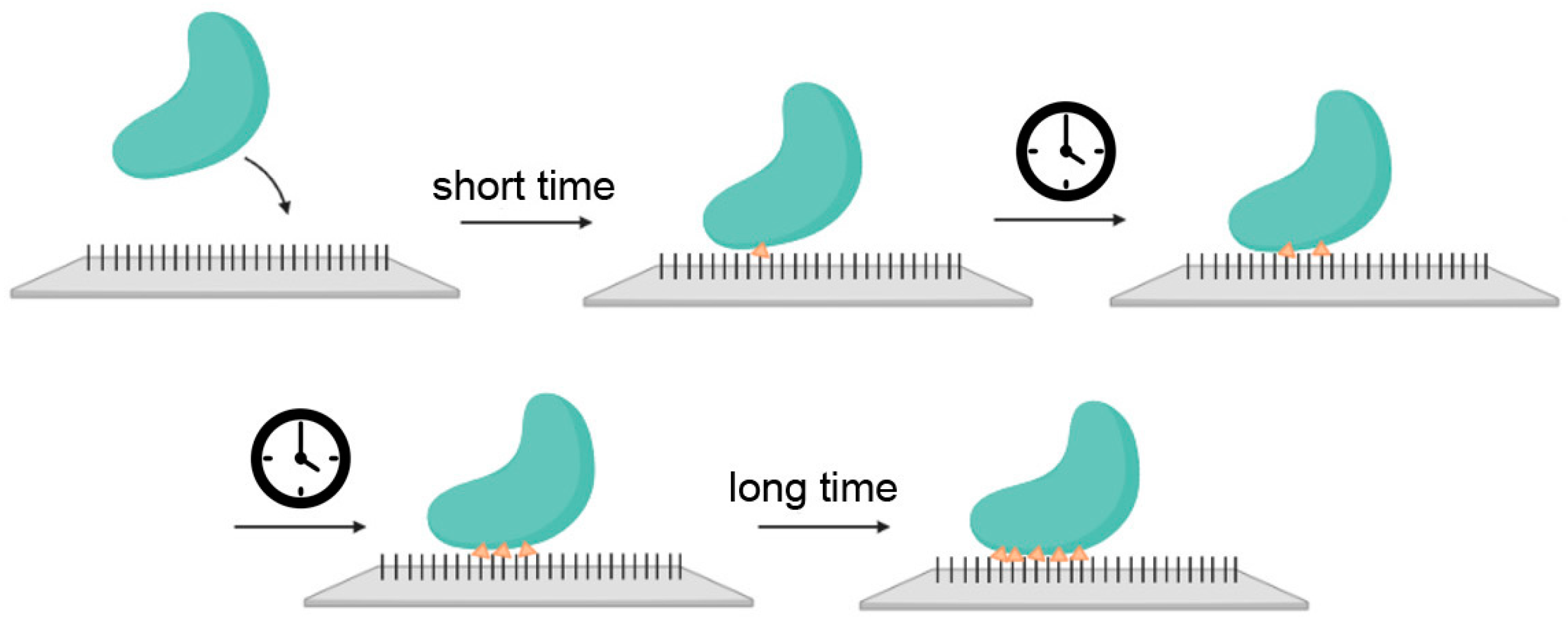 Molecules 30 00756 g005