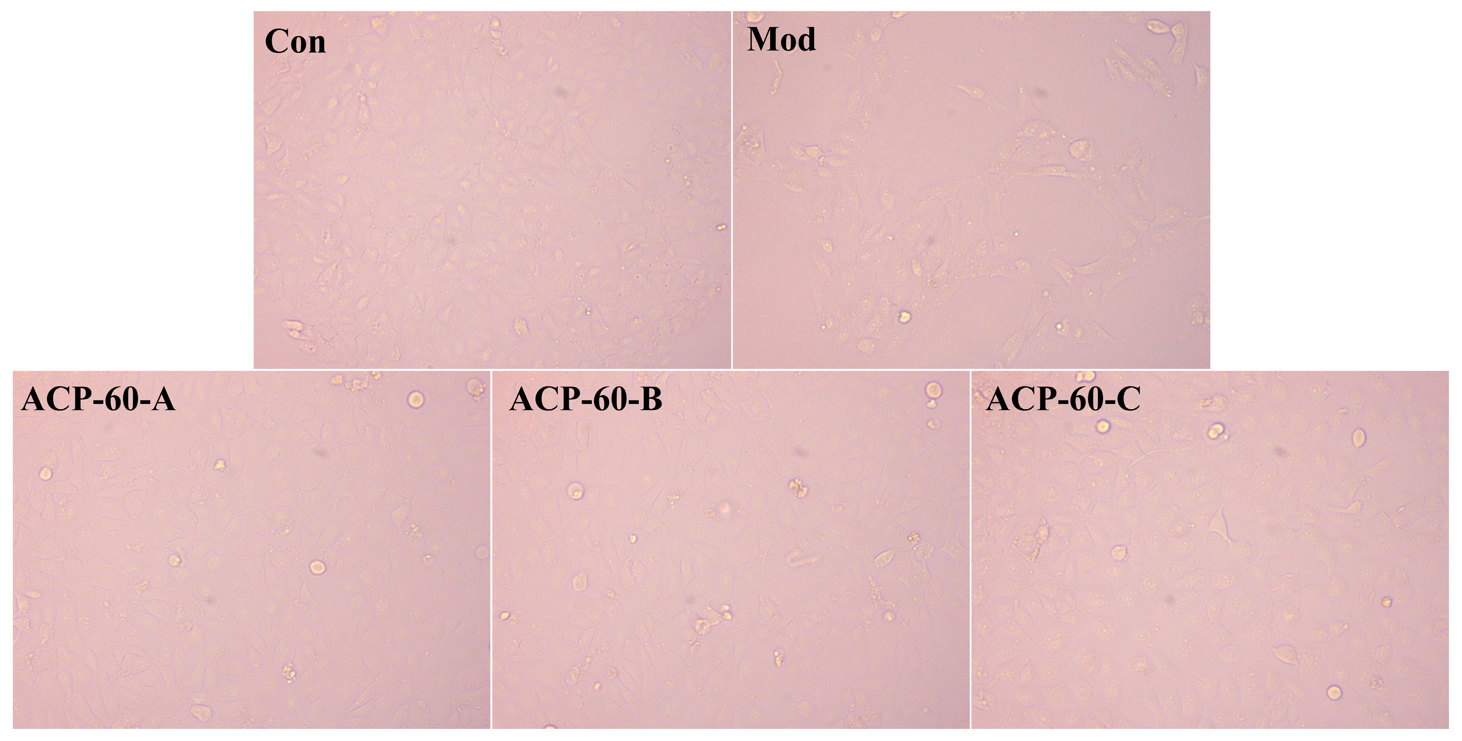 Molecules 30 00757 g012