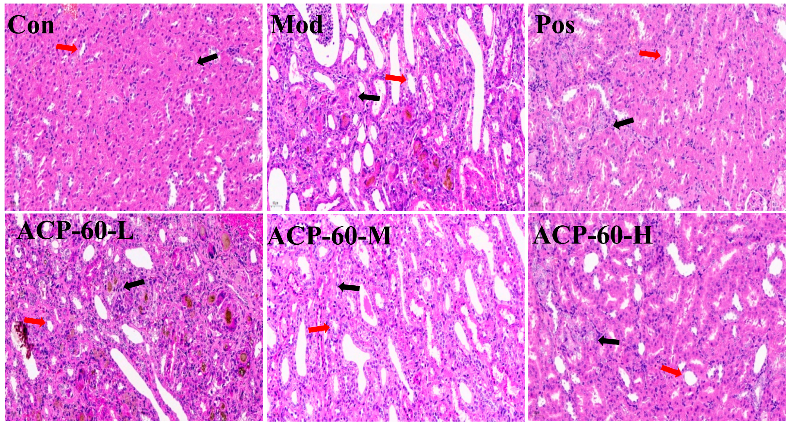 Molecules 30 00757 g017