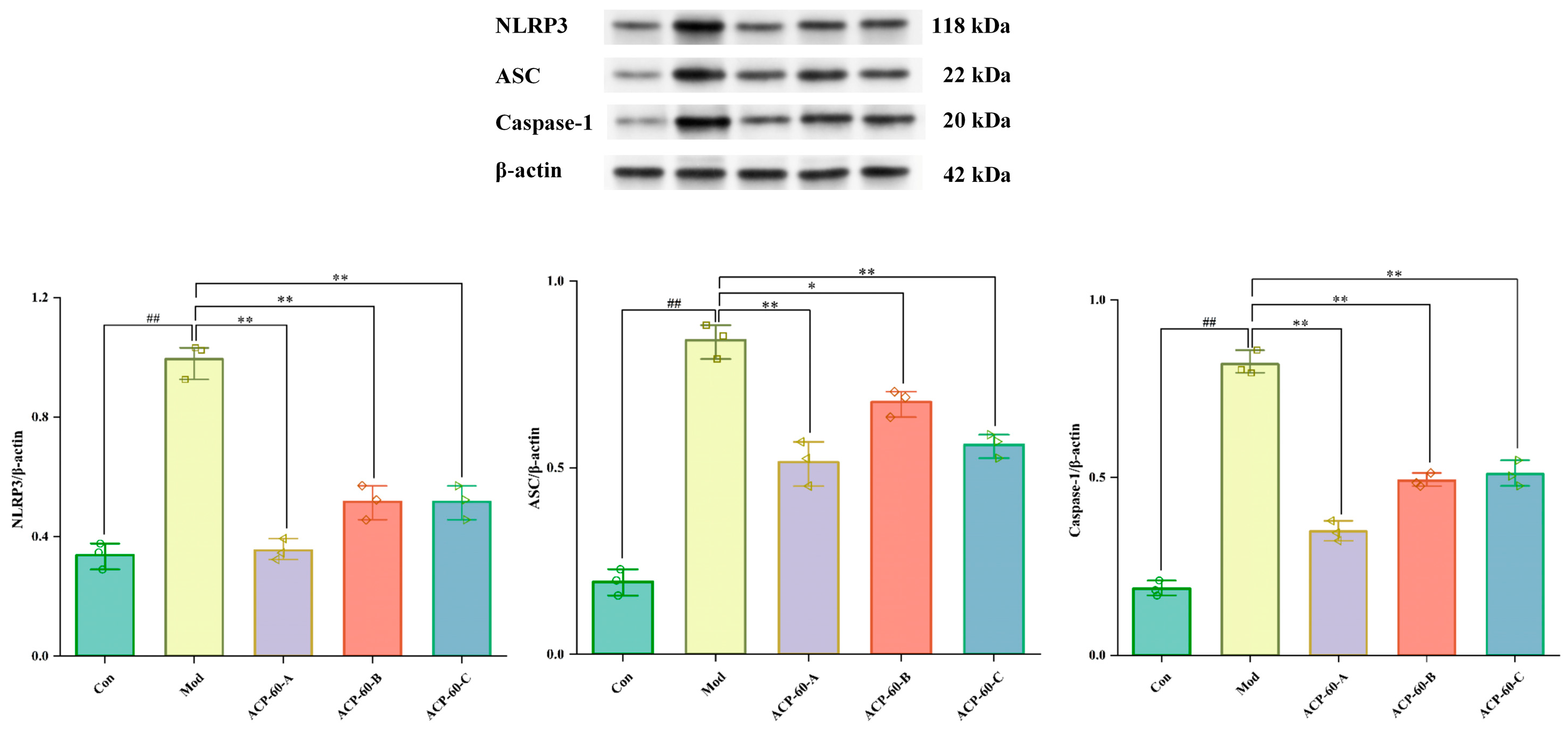 Molecules 30 00757 g018