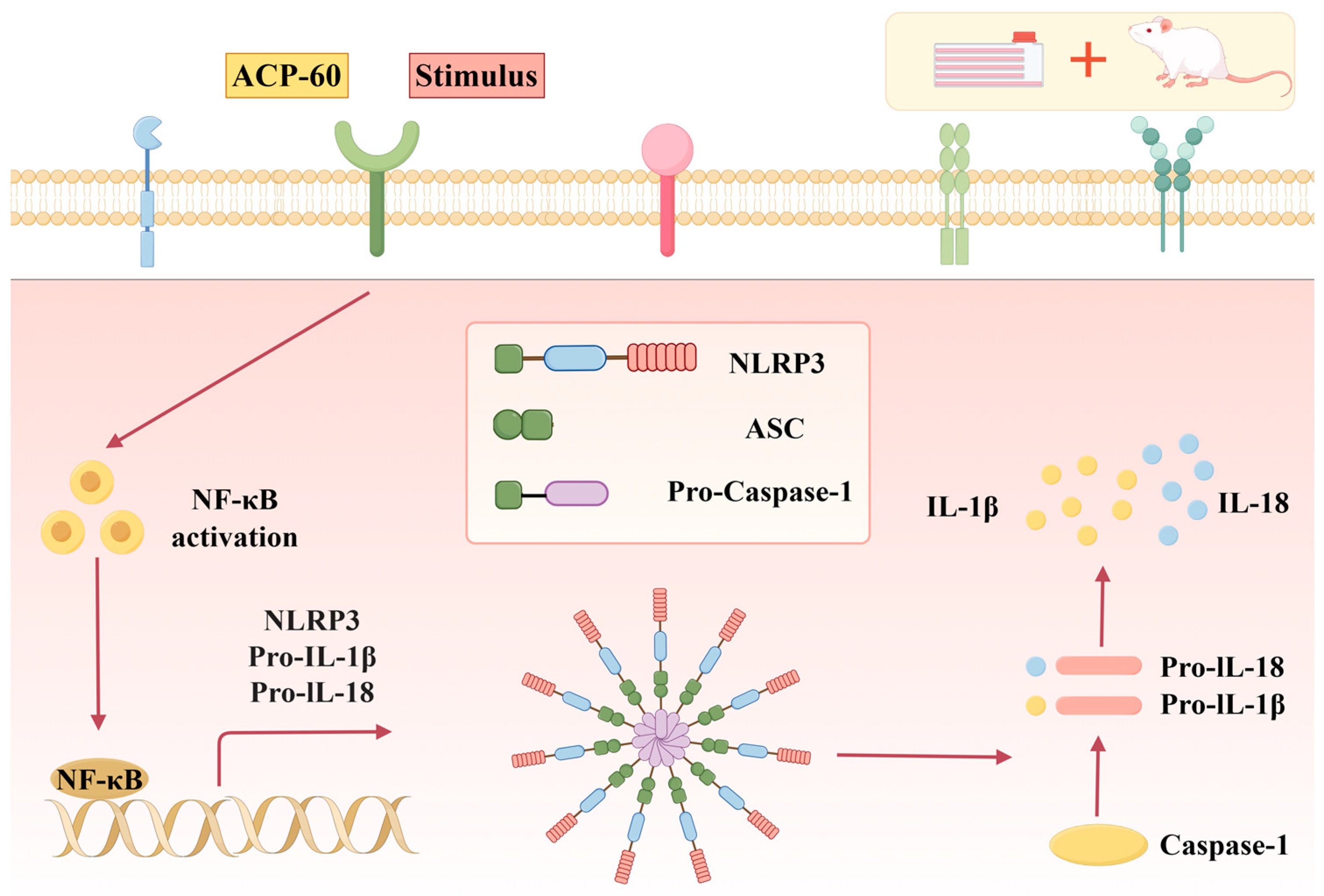Molecules 30 00757 g020