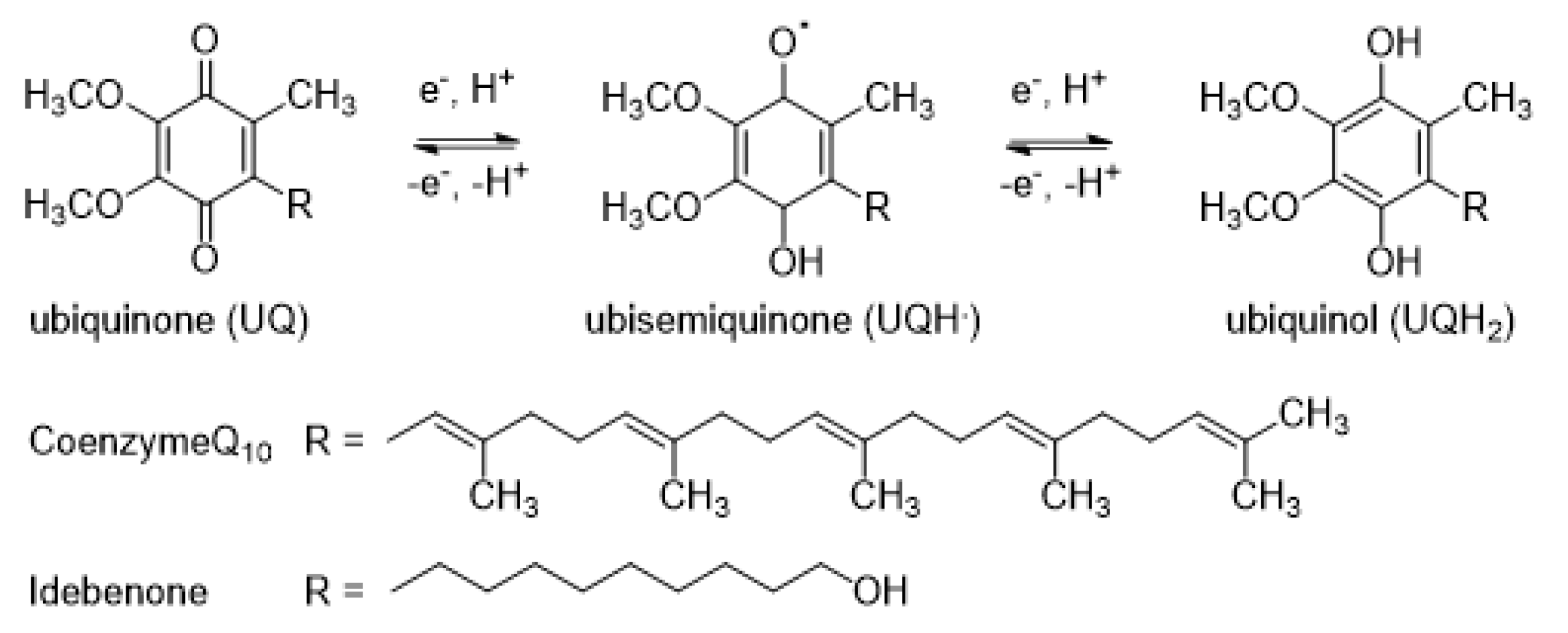 Molecules 30 00760 g003