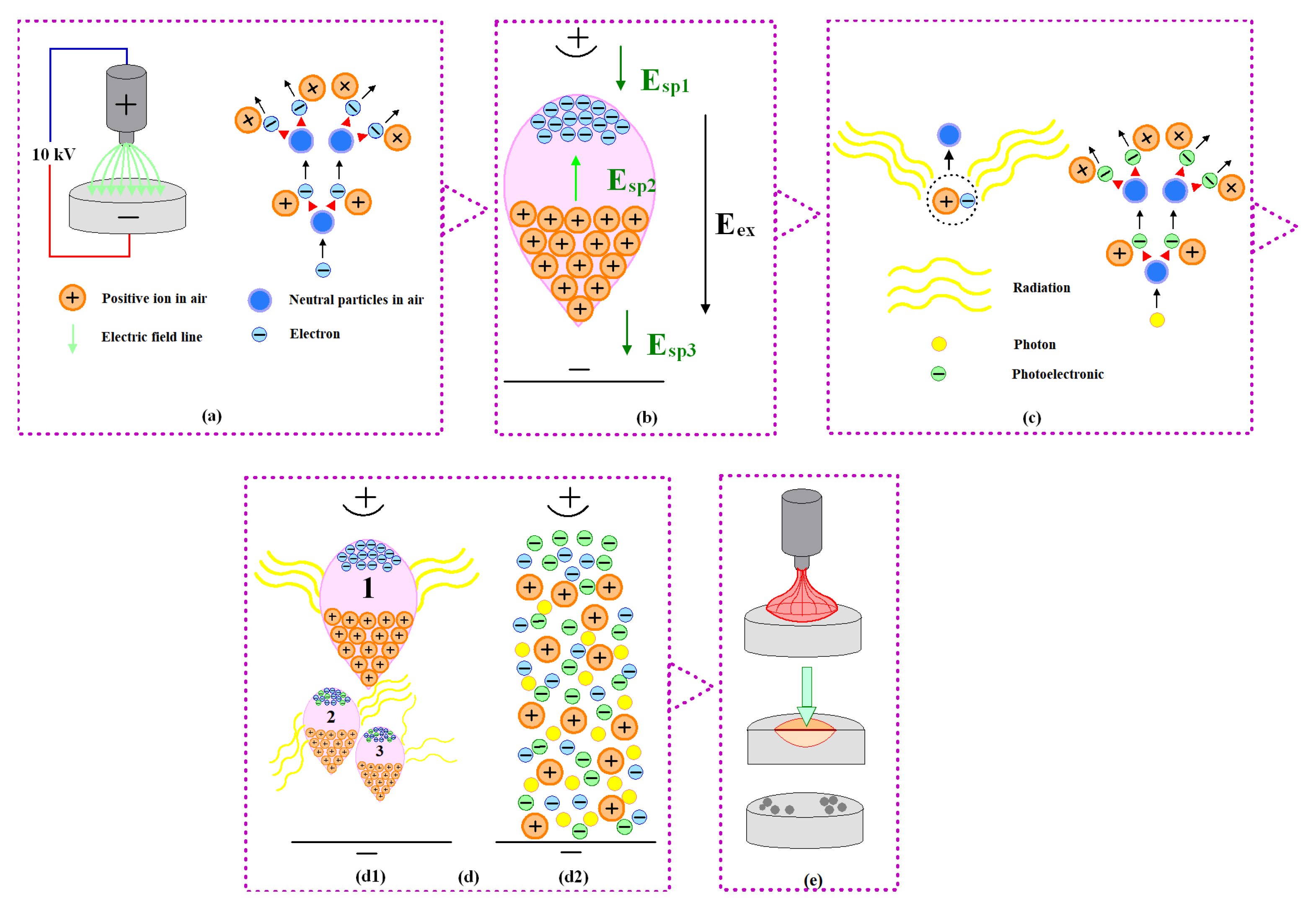 Molecules 30 00765 g009
