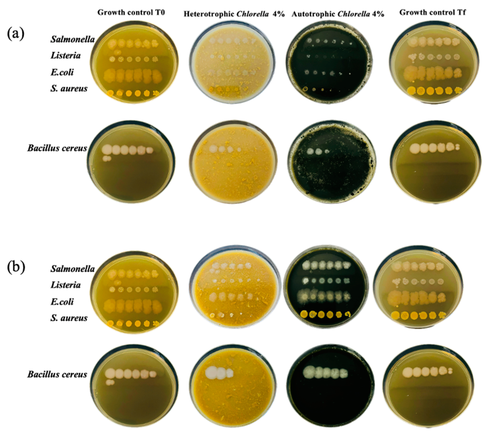 Molecules 30 00766 g006