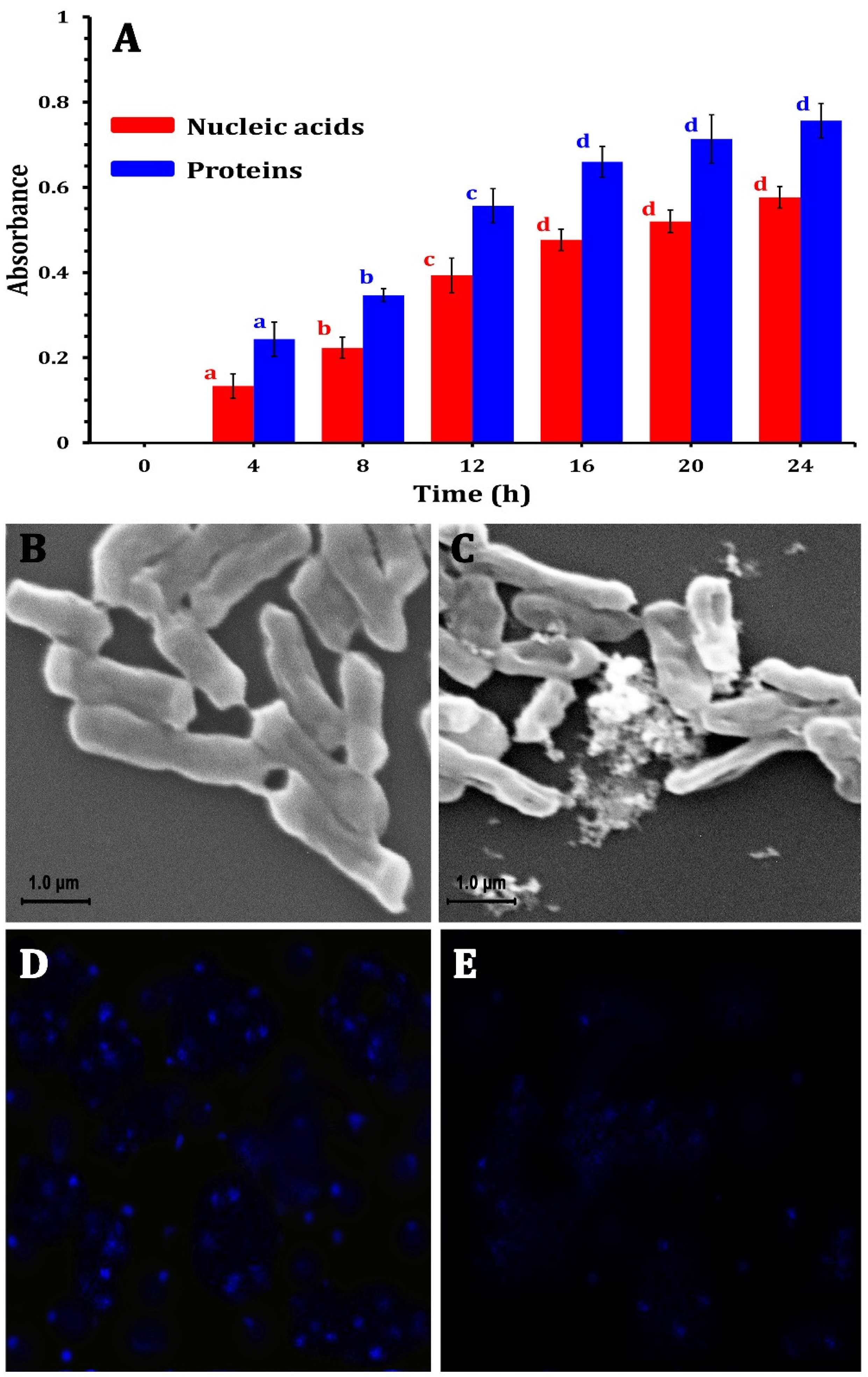 Molecules 30 00768 g004