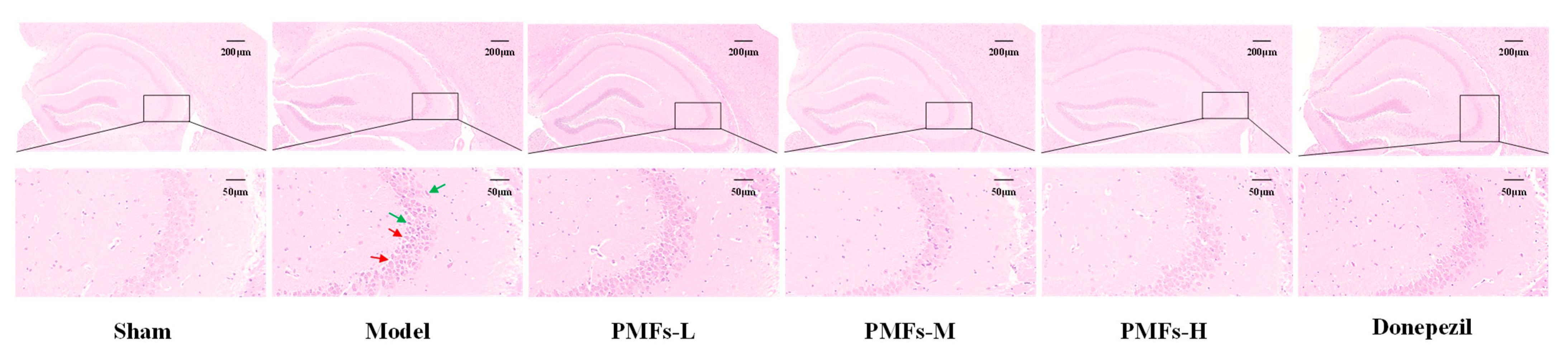 Molecules 30 00771 g006
