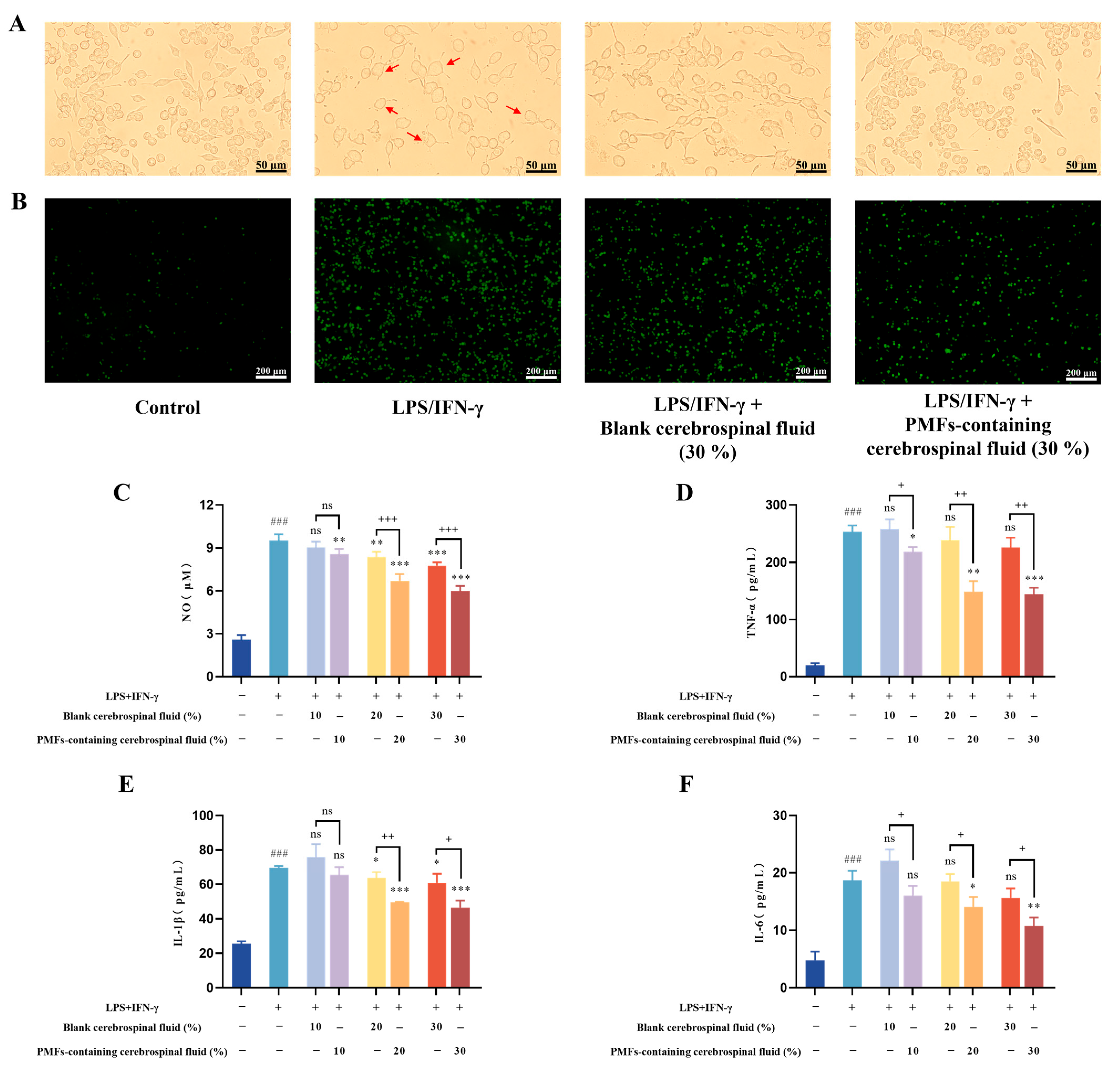 Molecules 30 00771 g010