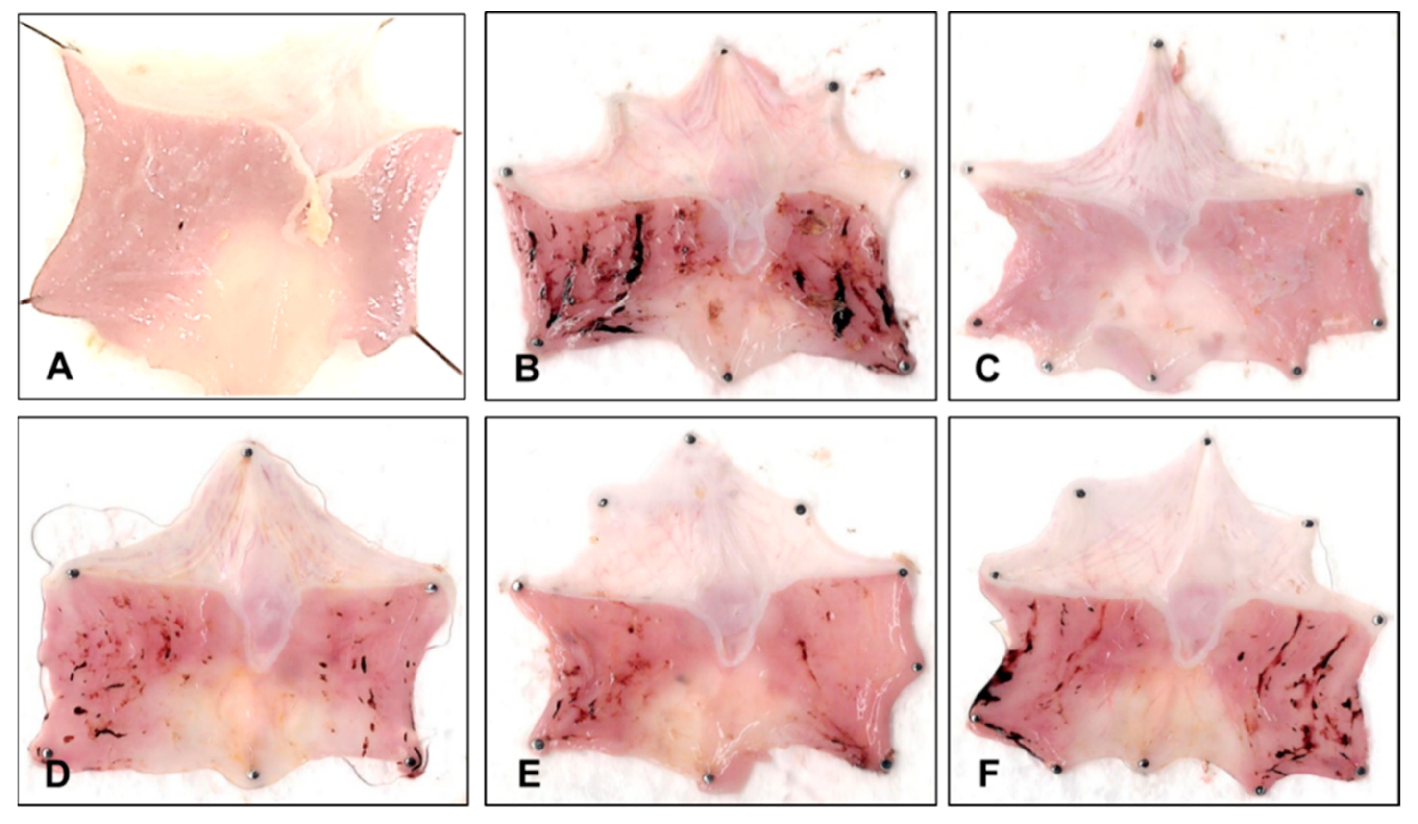 Molecules 30 00772 g004