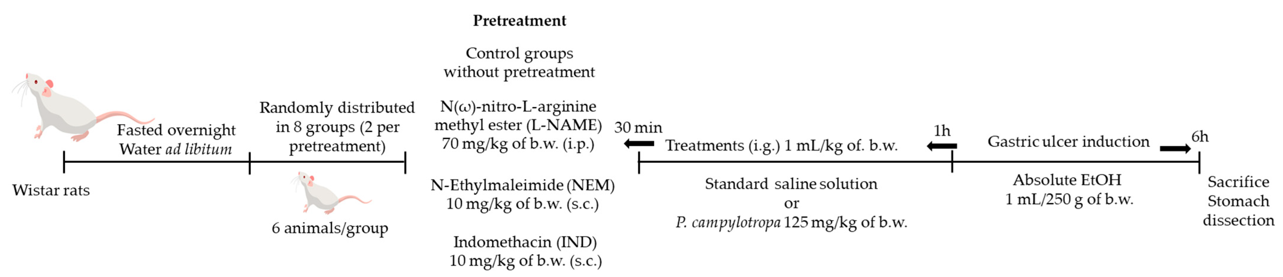 Molecules 30 00772 g007