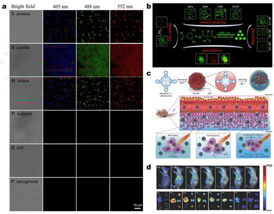 Molecules 30 00774 g006