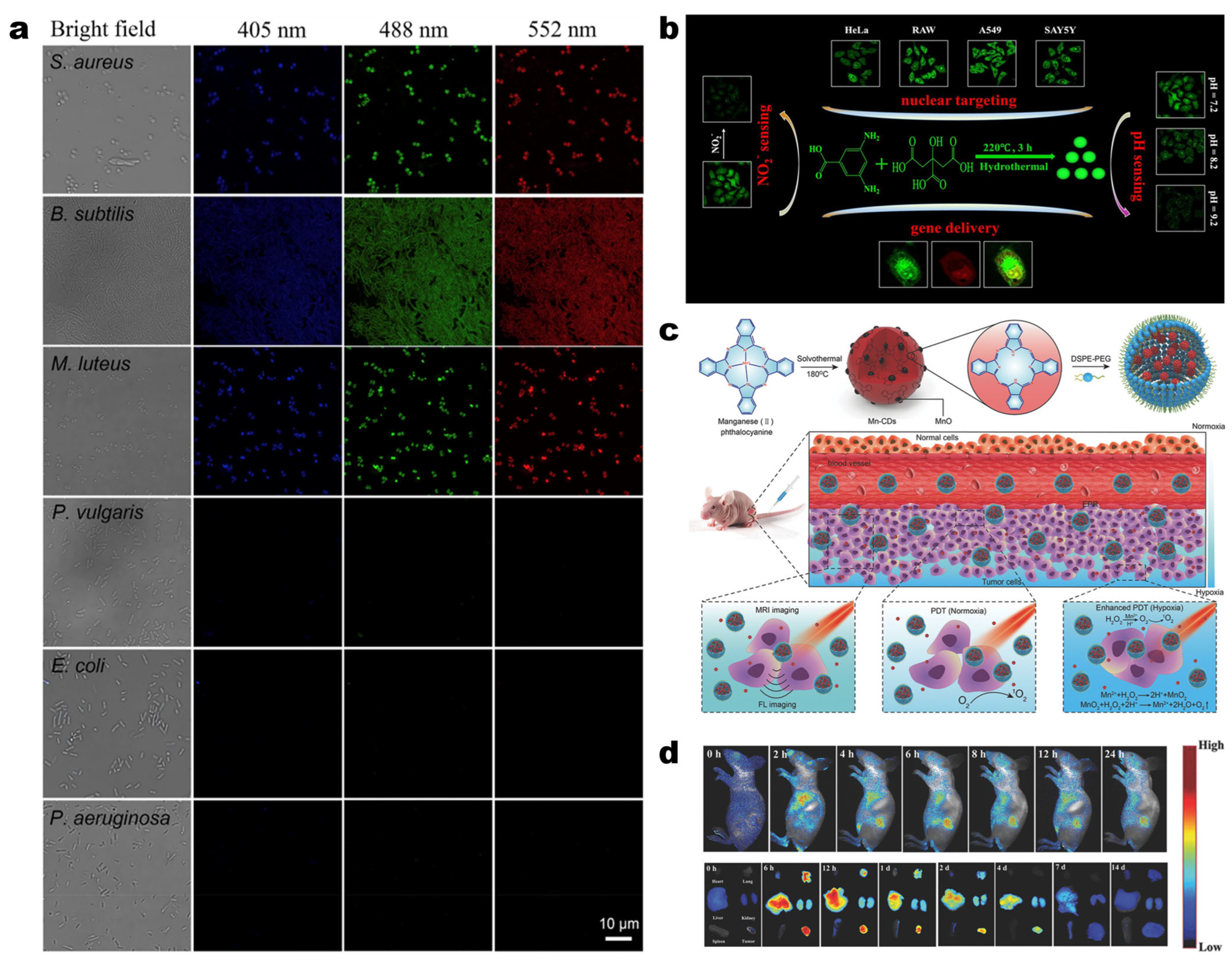 Molecules 30 00774 g006
