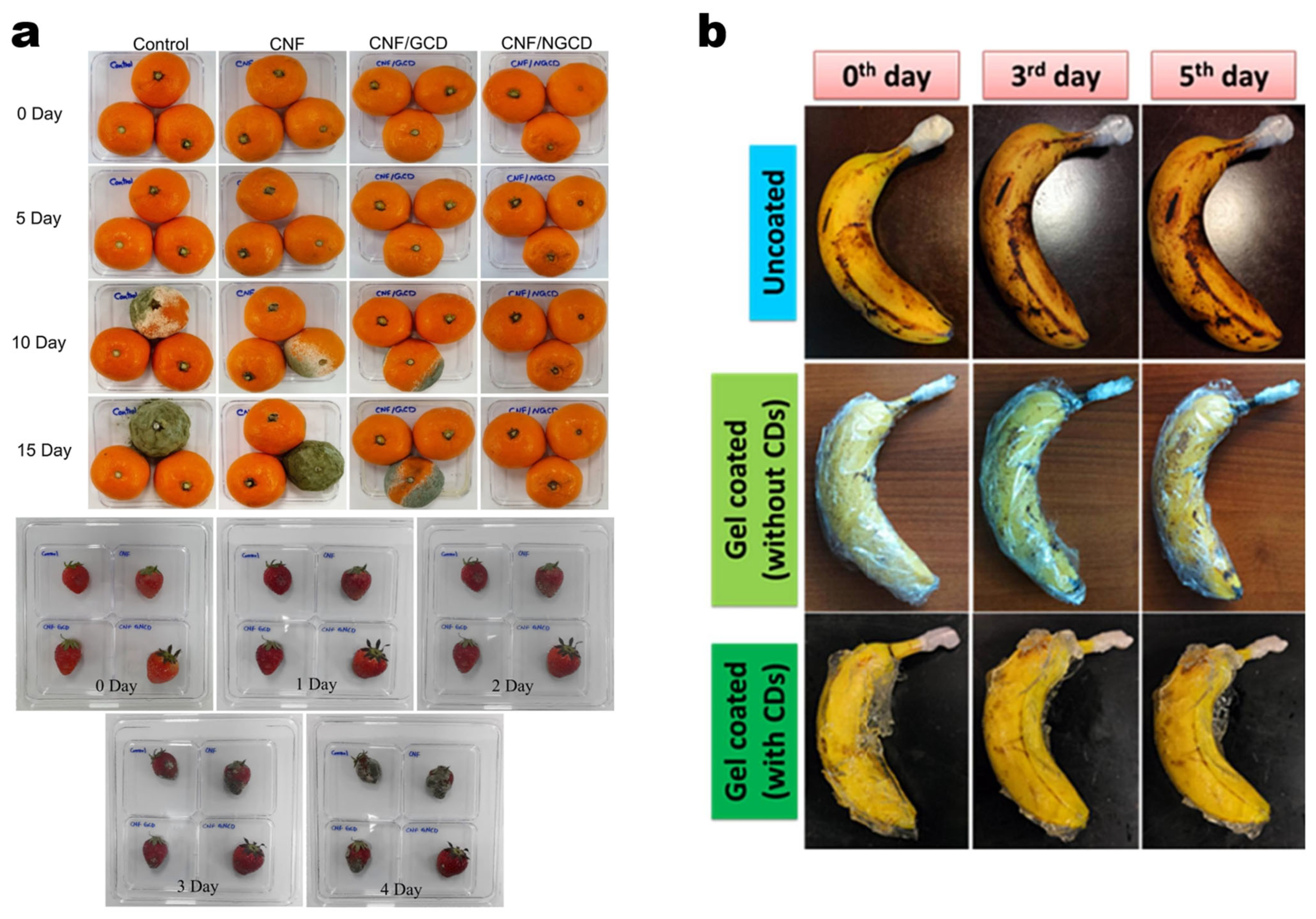 Molecules 30 00774 g009