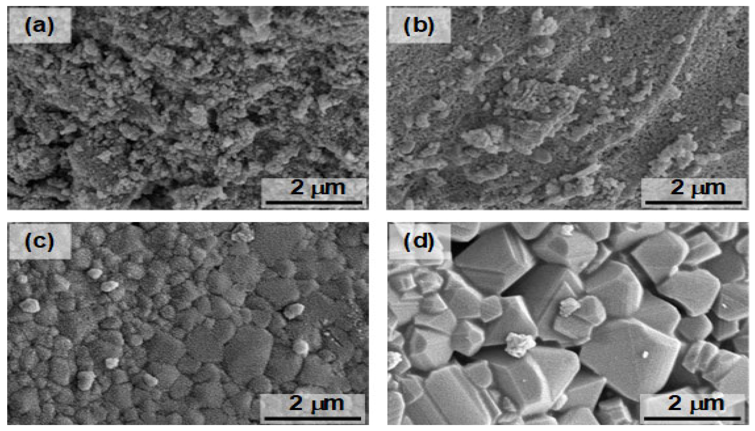 Molecules 30 00777 g003