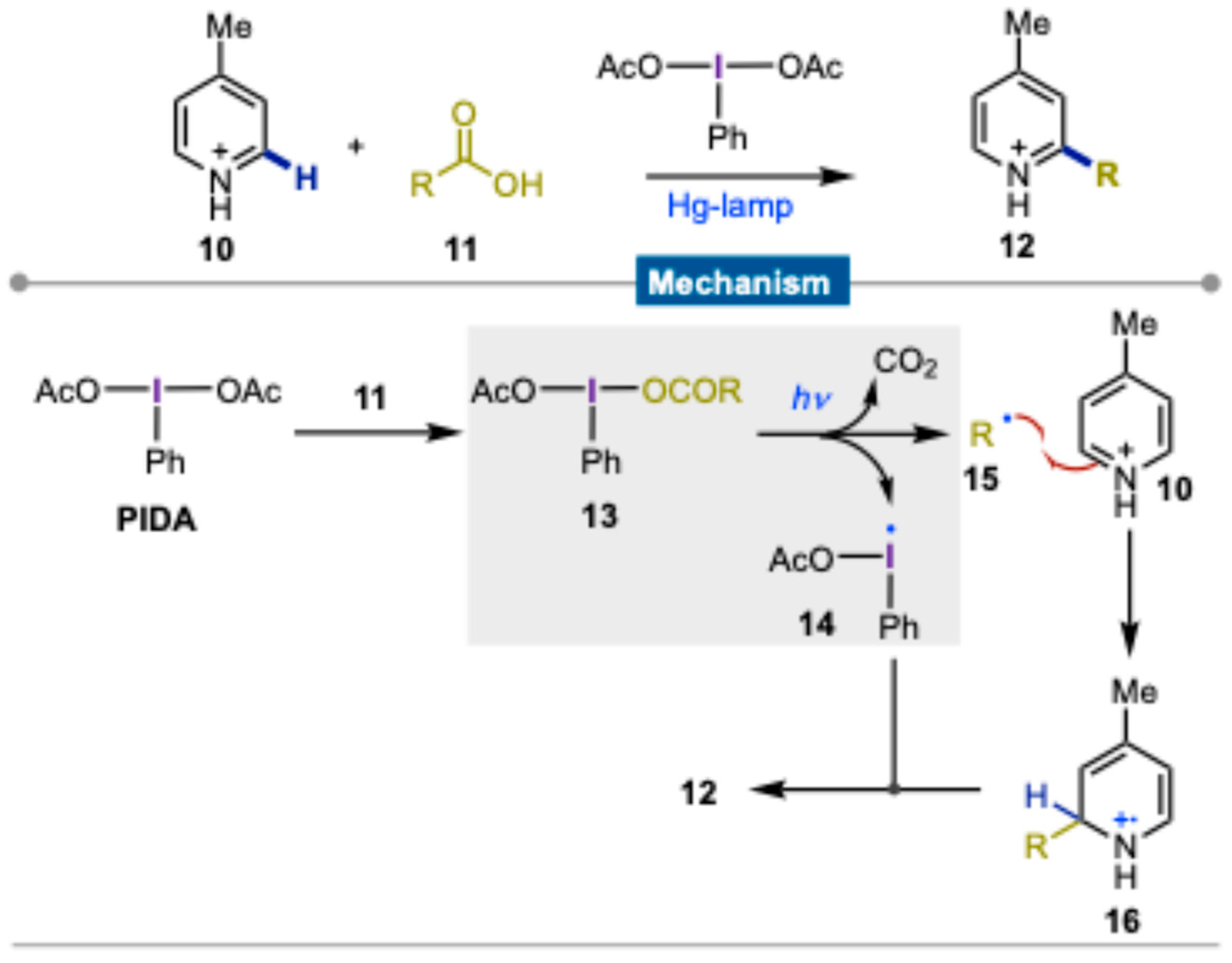 Molecules 30 00784 sch002