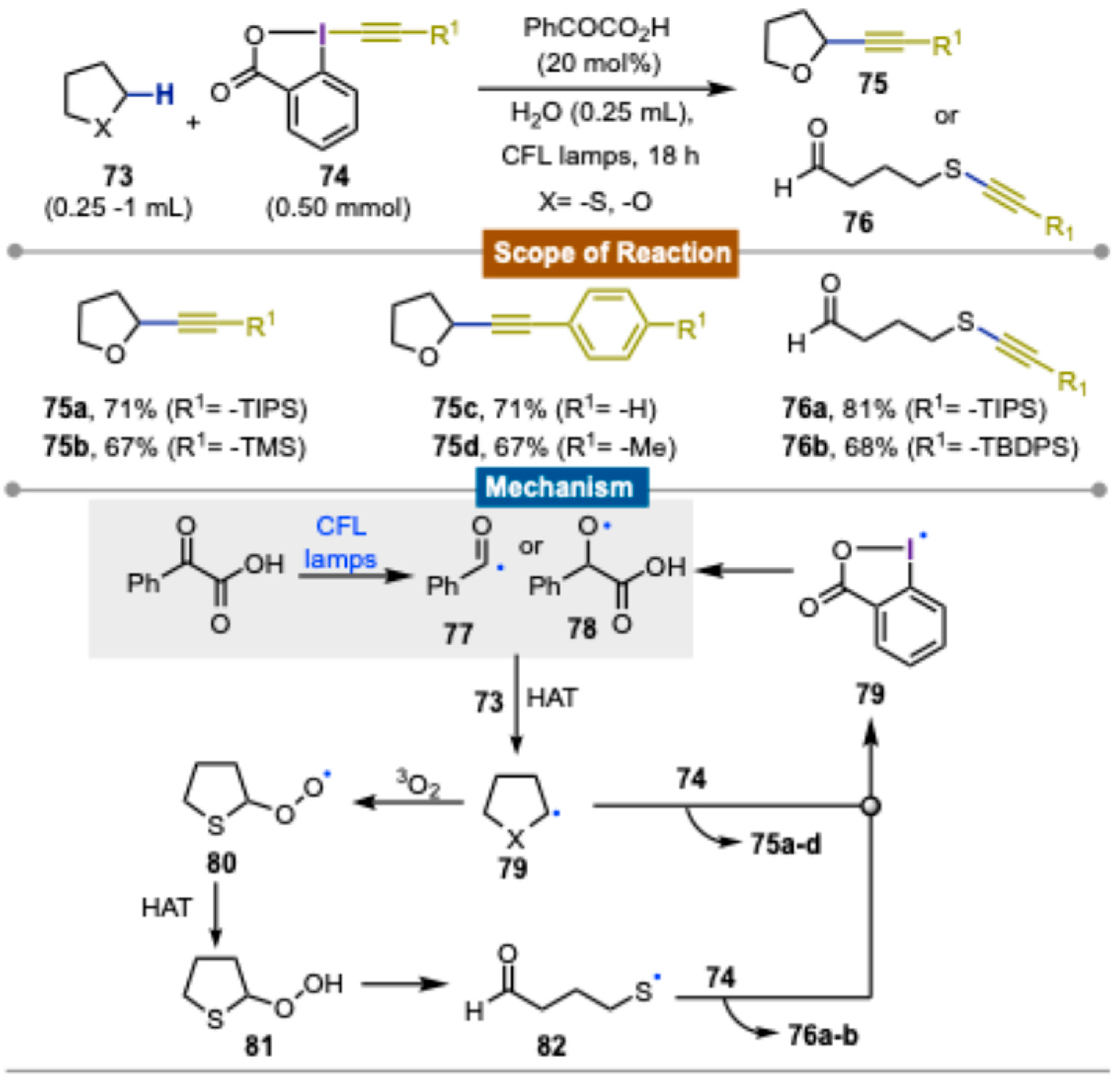 Molecules 30 00784 sch012