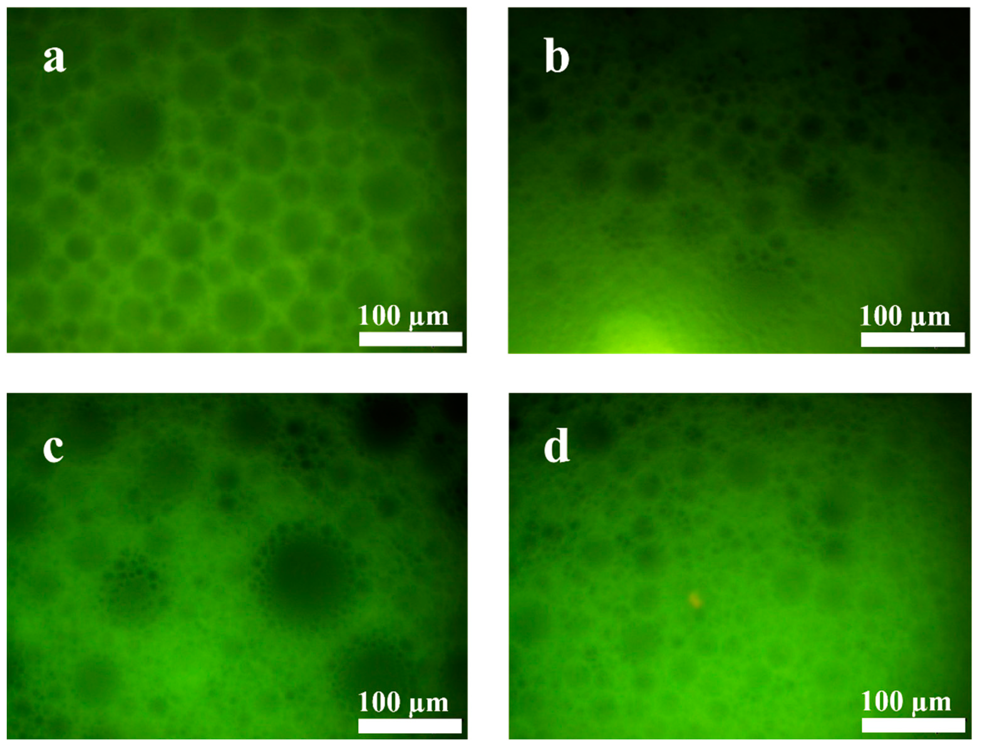 Molecules 30 00787 g006