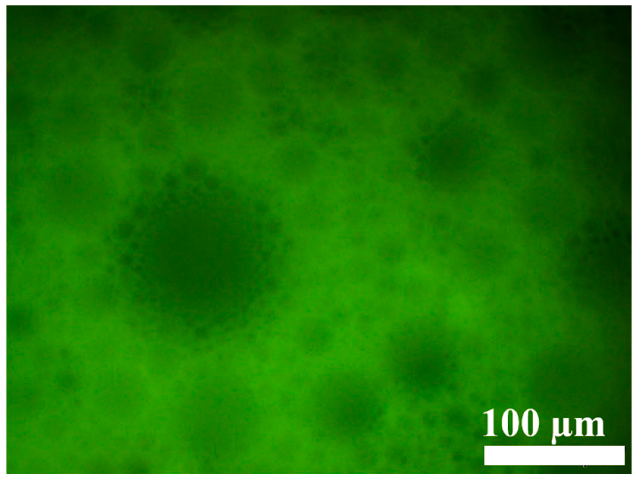 Molecules 30 00787 g008