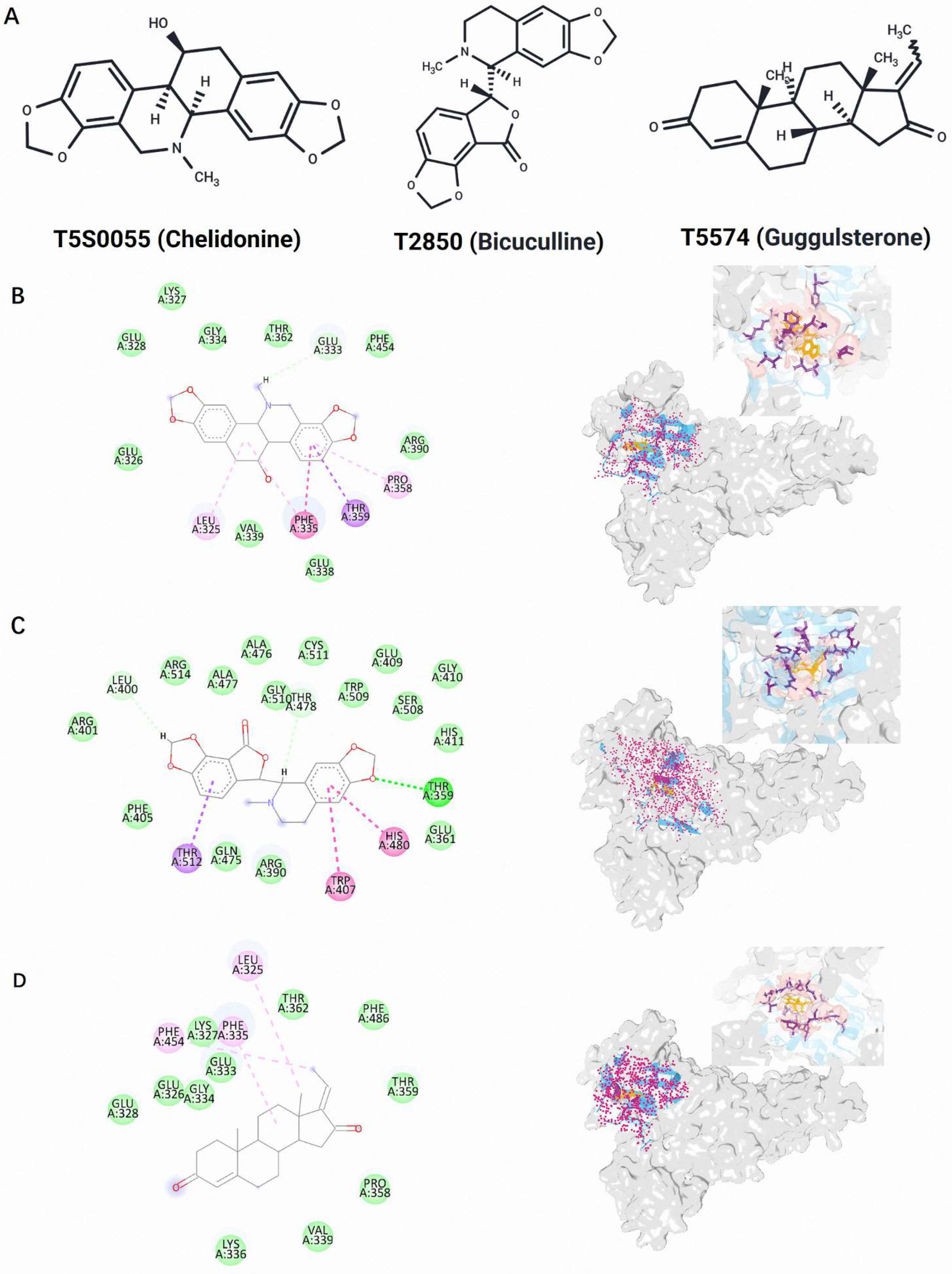 Molecules 30 00790 g004