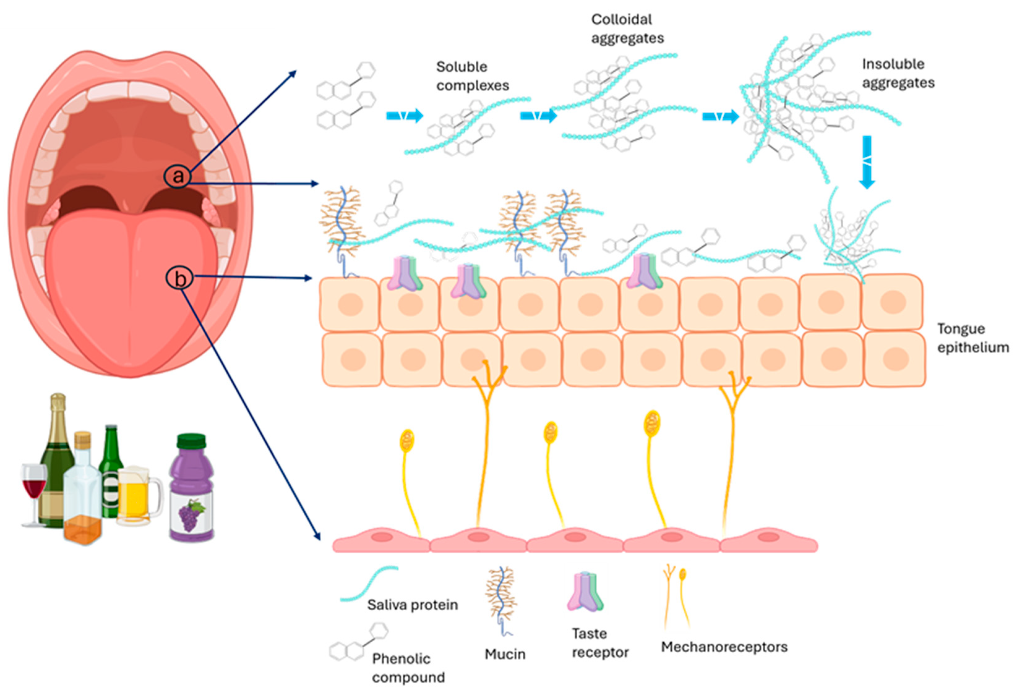 Molecules 30 00800 g003