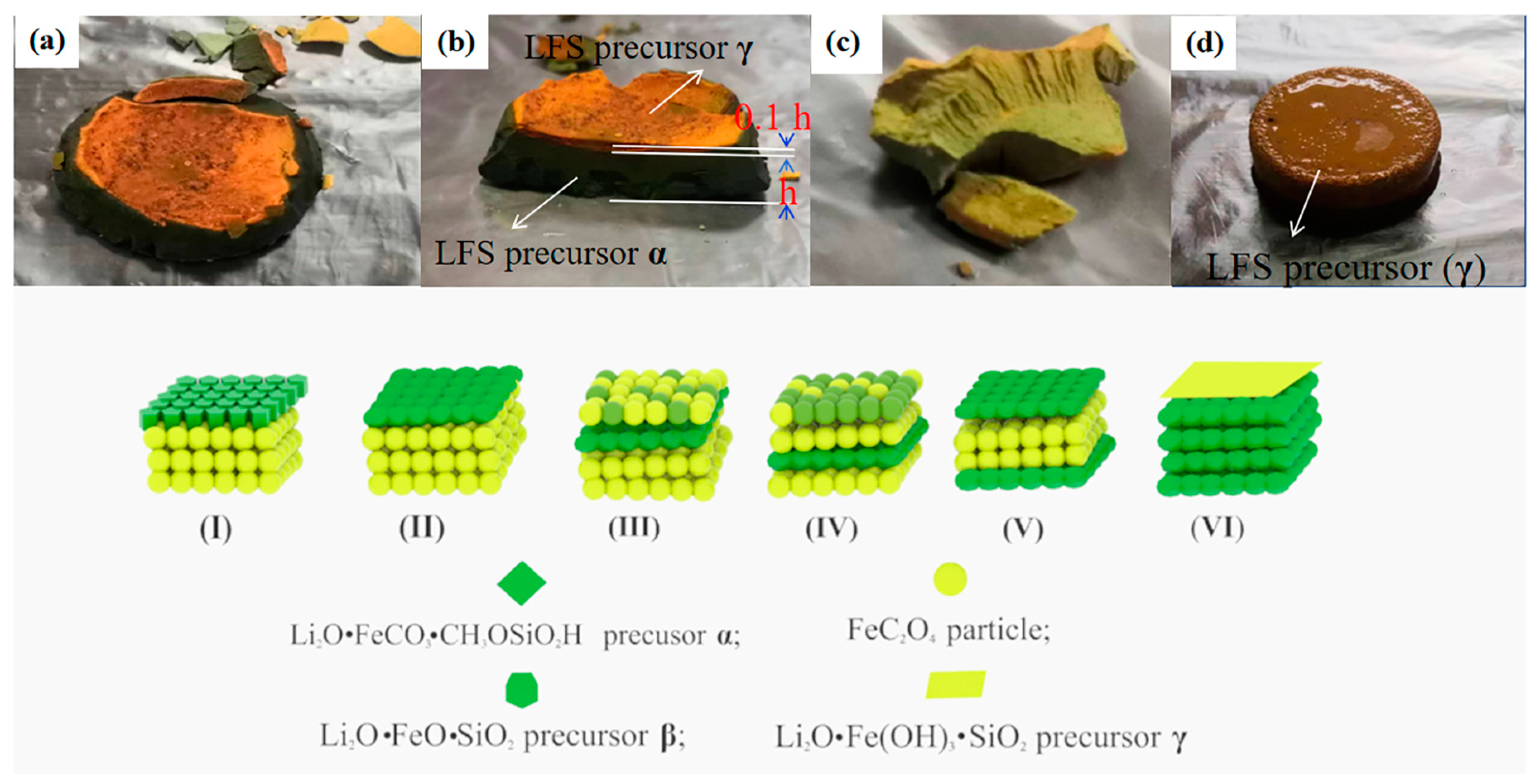 Molecules 30 00808 g001