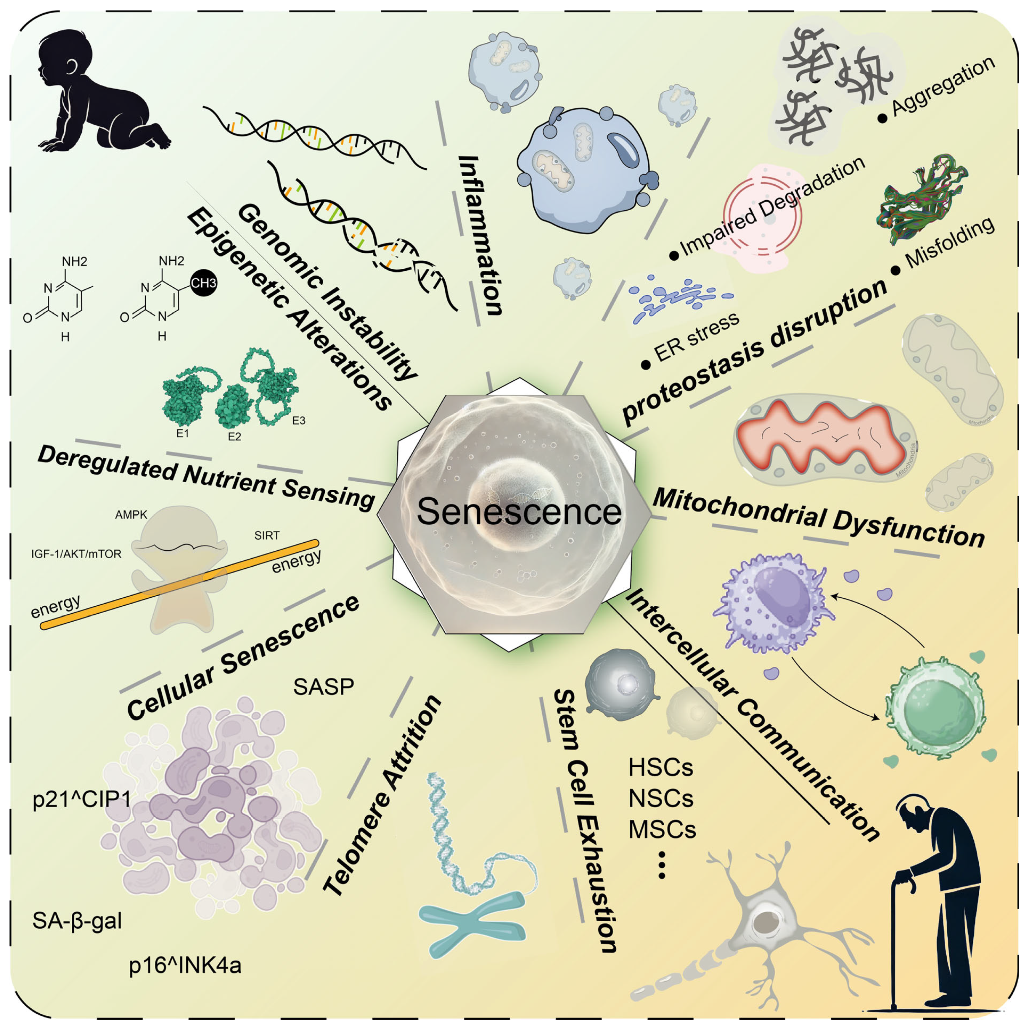 Molecules 30 00816 g001
