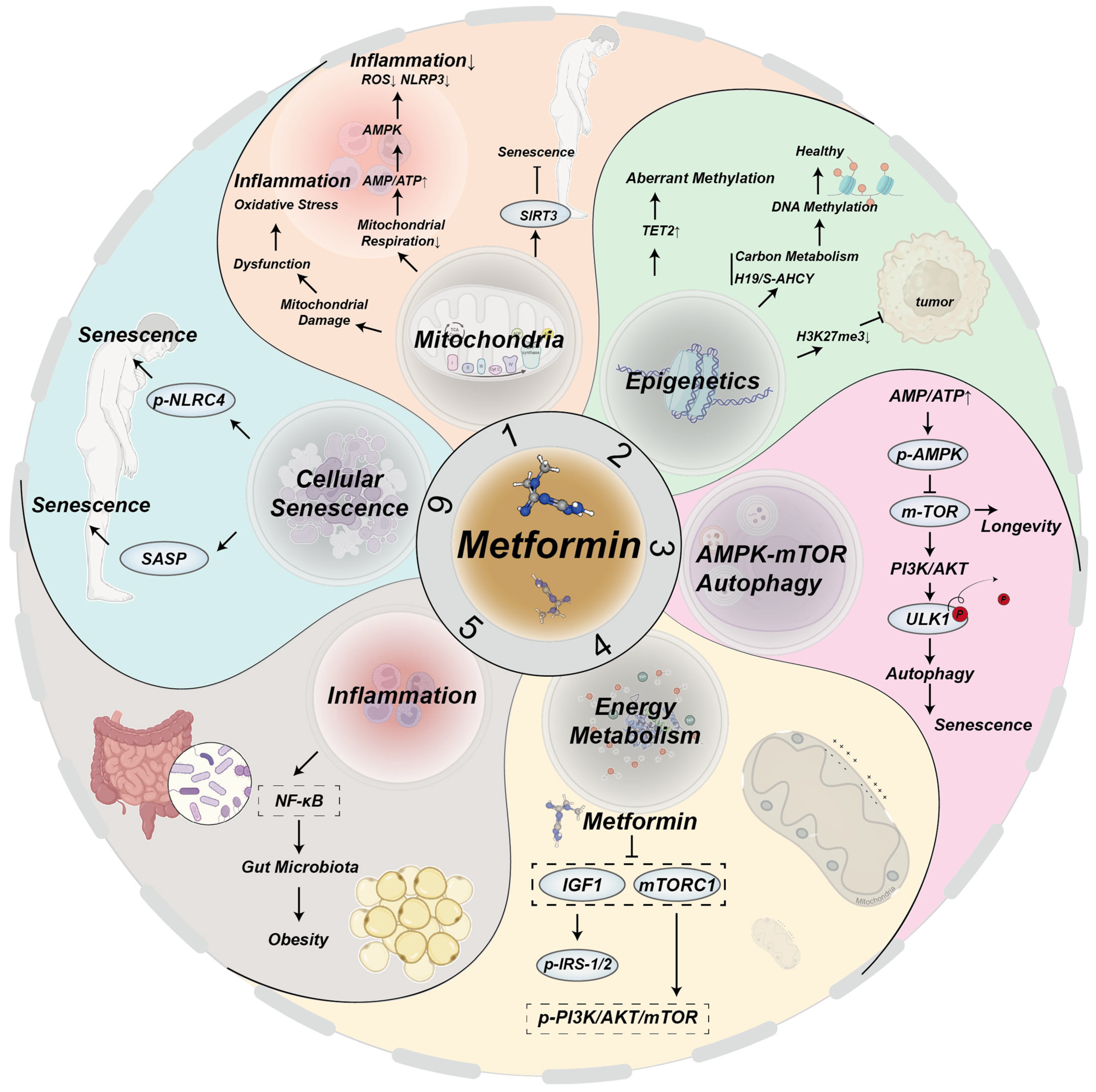 Molecules 30 00816 g002