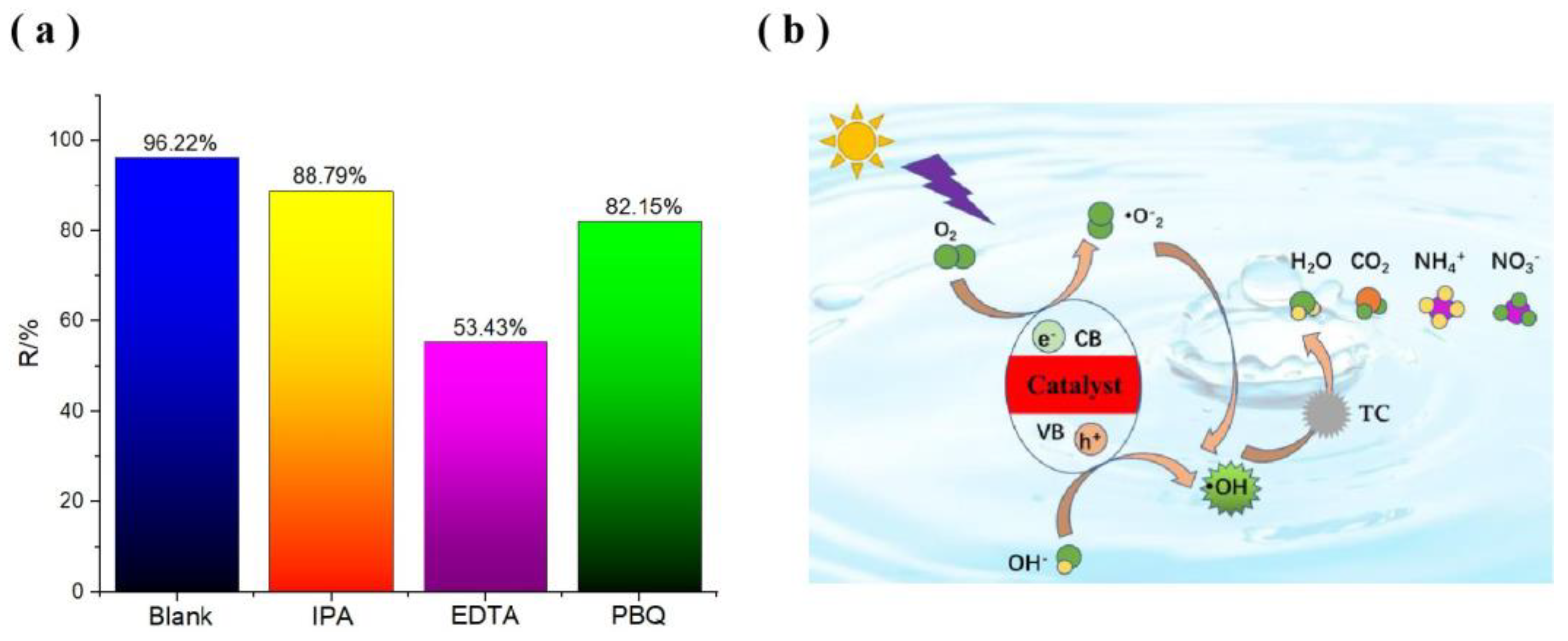Molecules 30 00817 g017