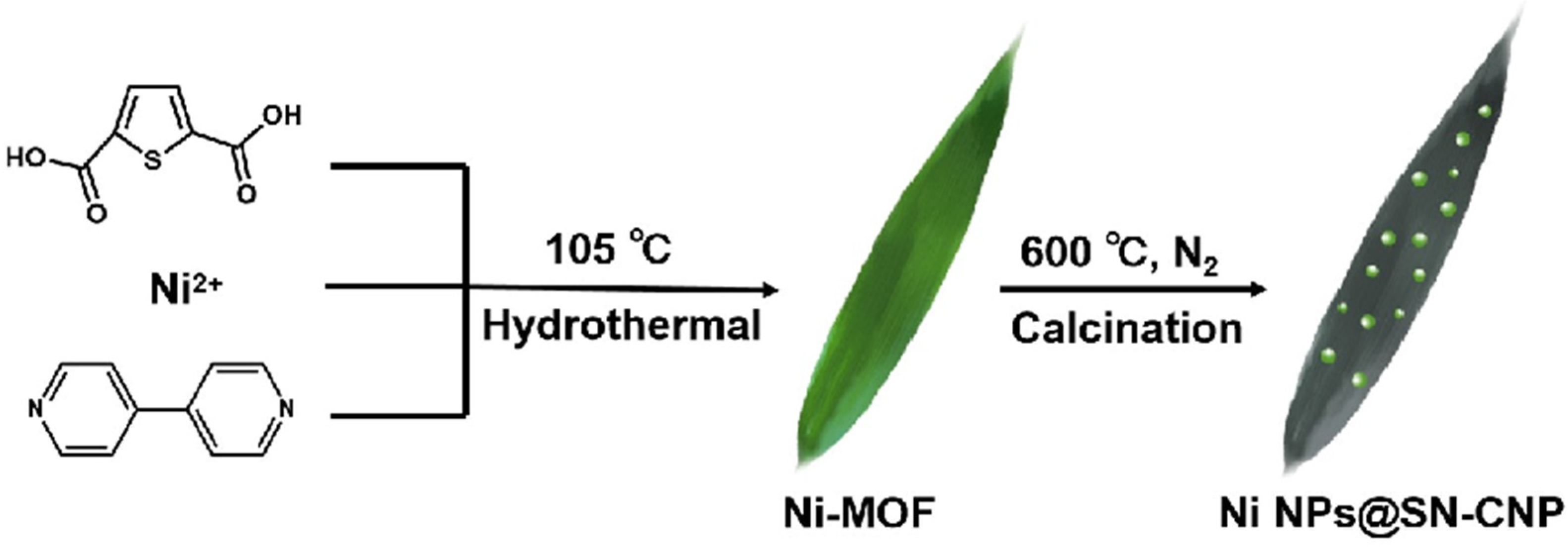 Molecules 30 00820 g001