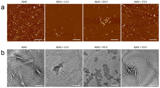 Molecules 30 00829 g007