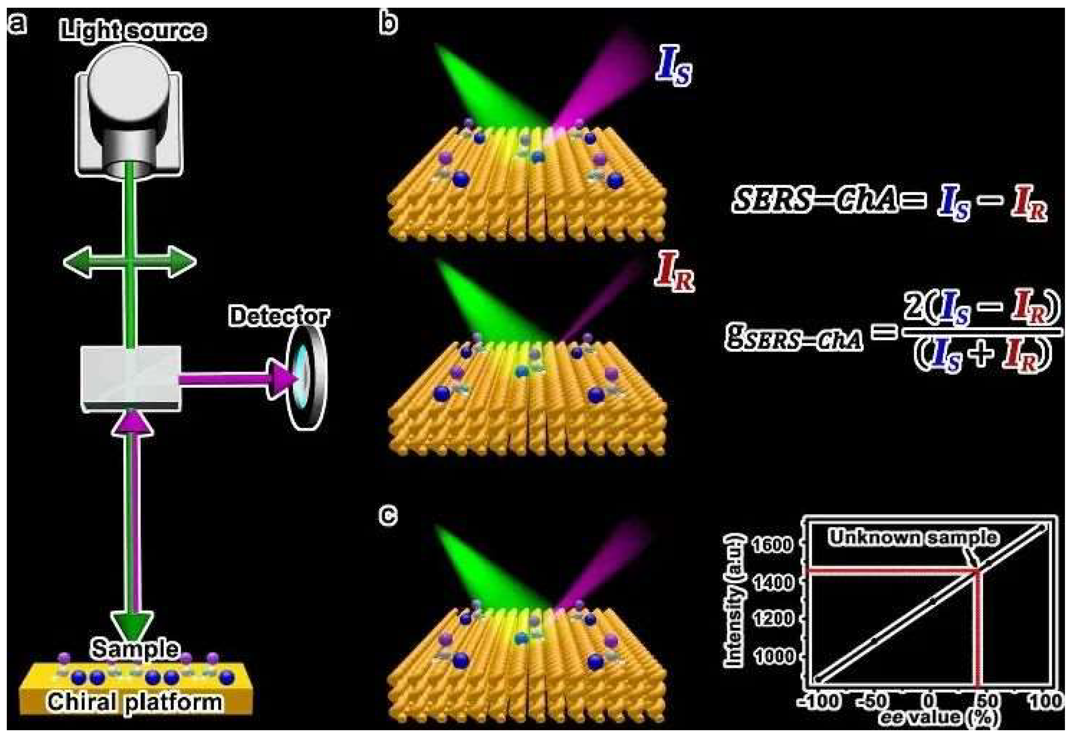 Molecules 30 00829 g009