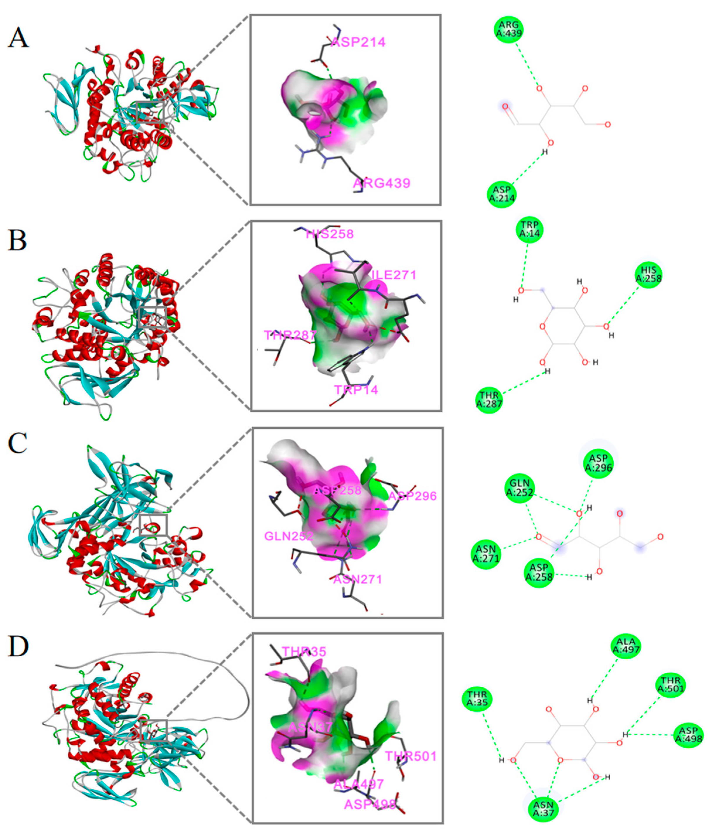 Molecules 30 00830 g006