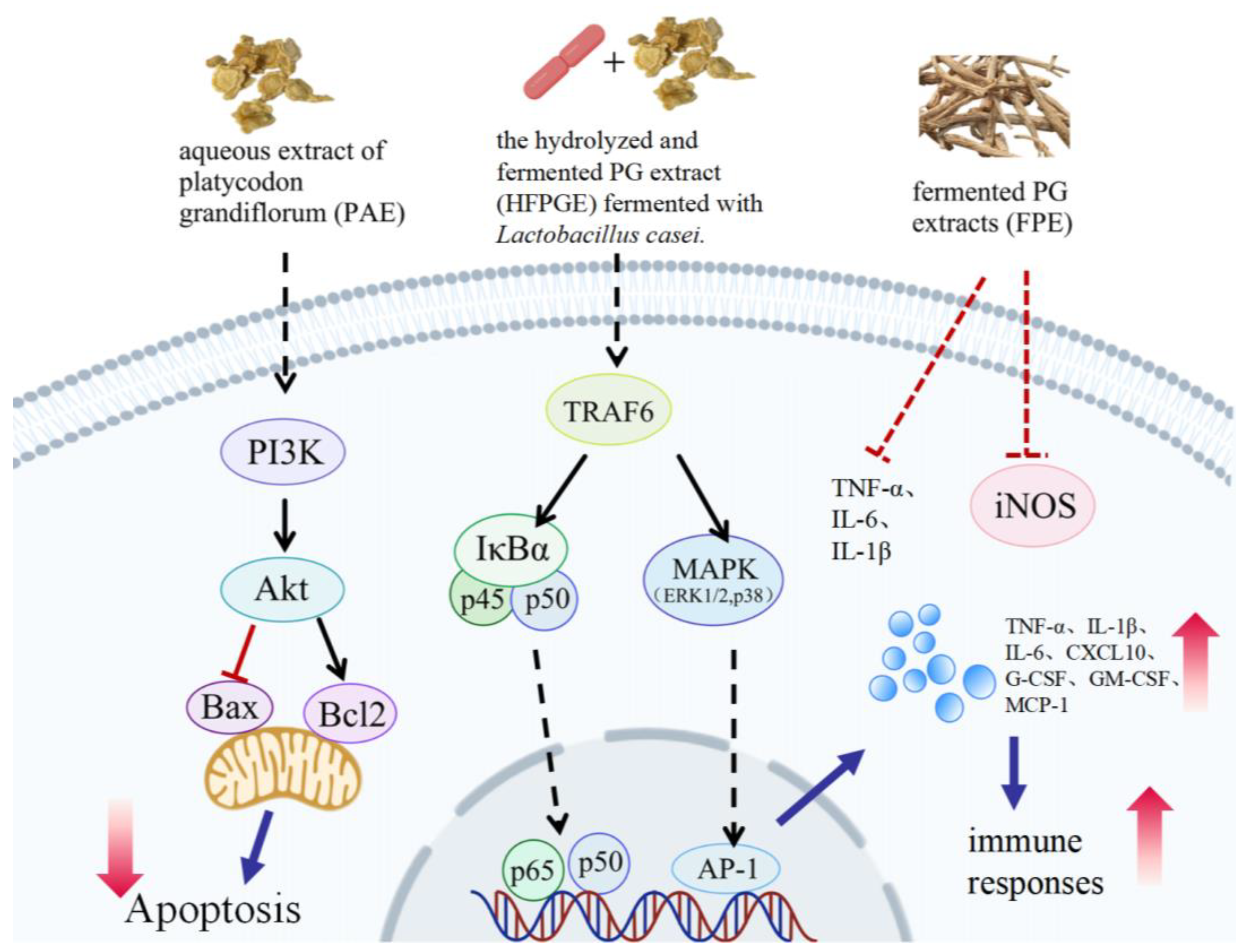 Molecules 30 00831 g001