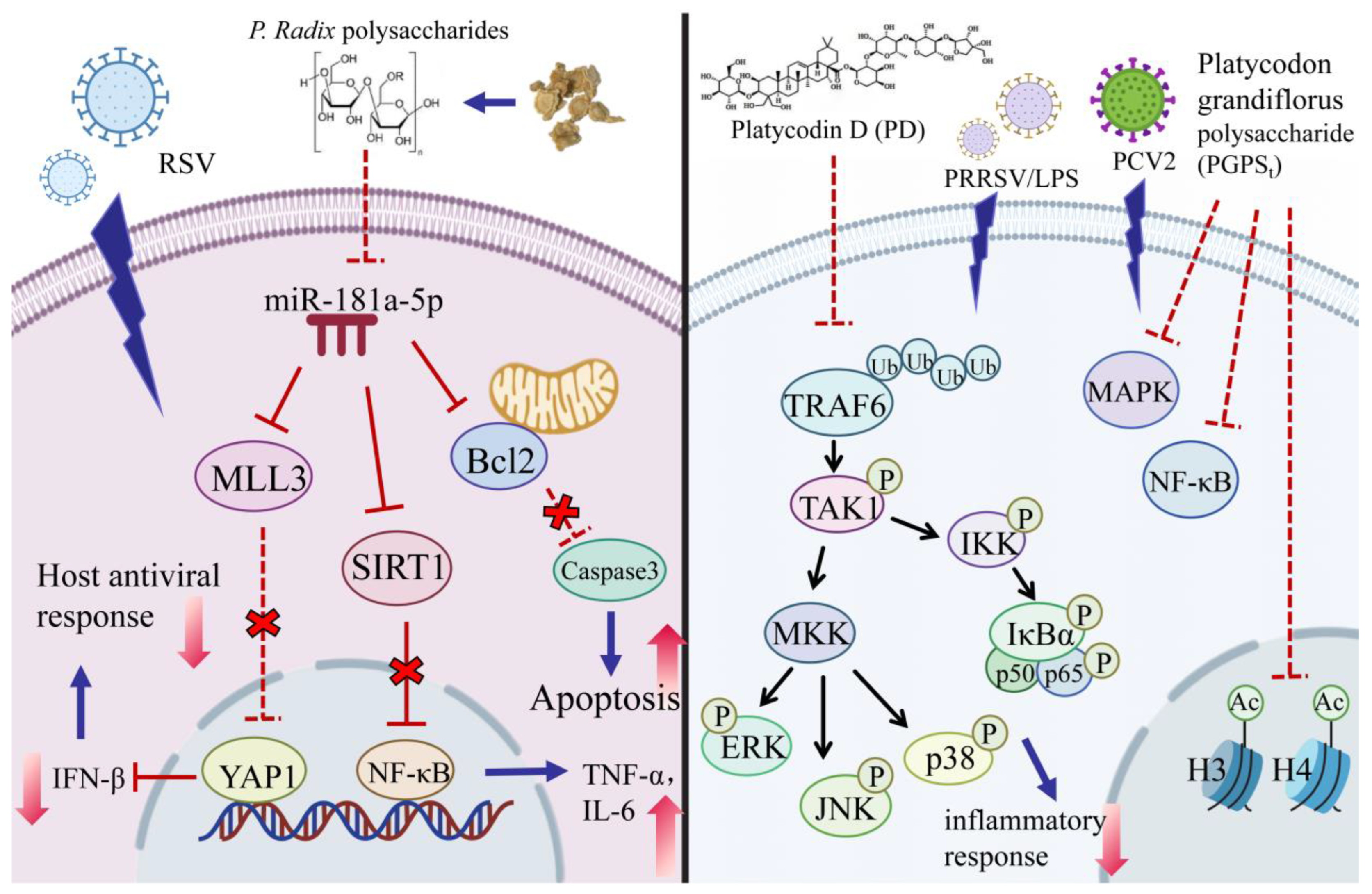 Molecules 30 00831 g002