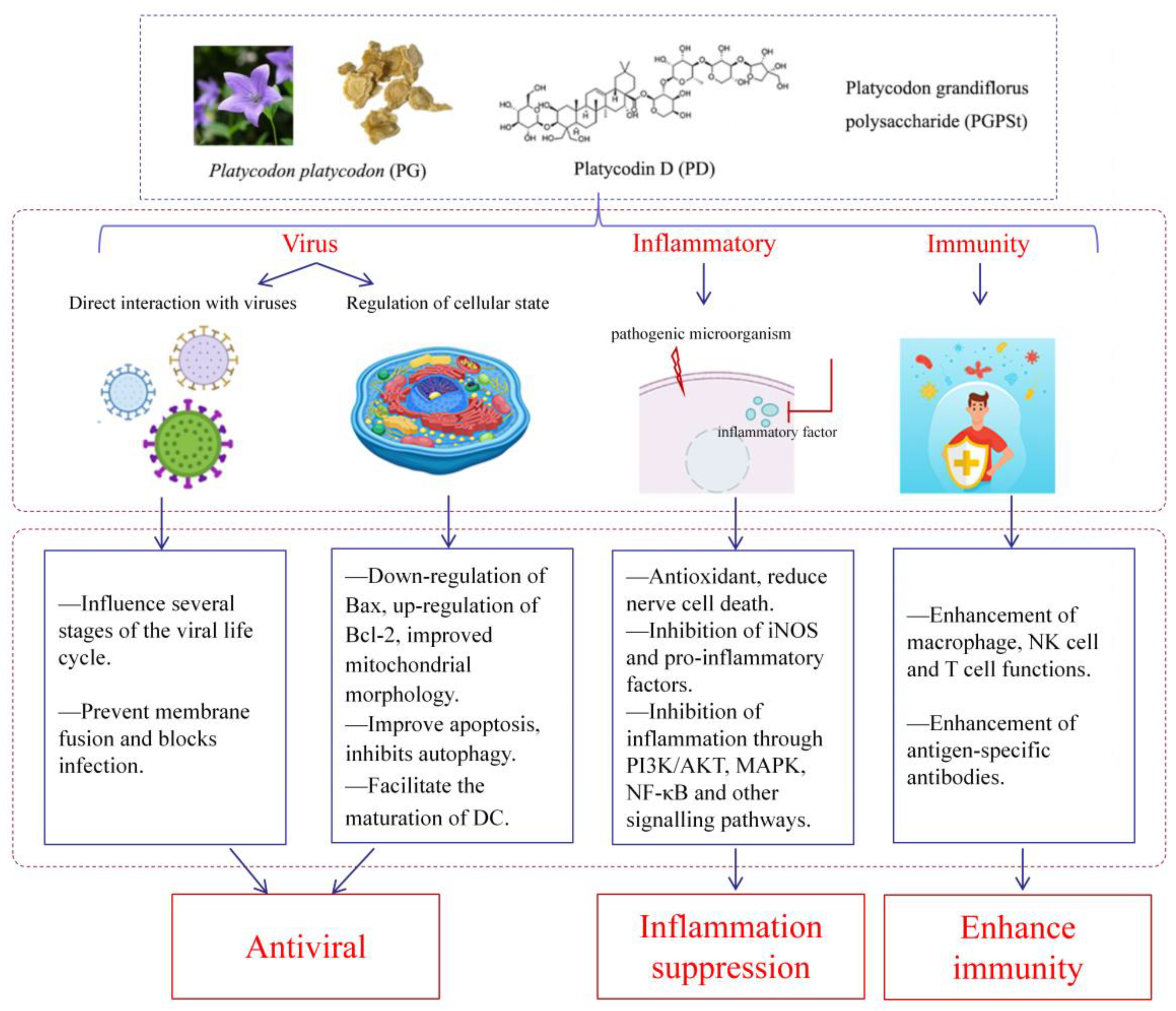Molecules 30 00831 g003