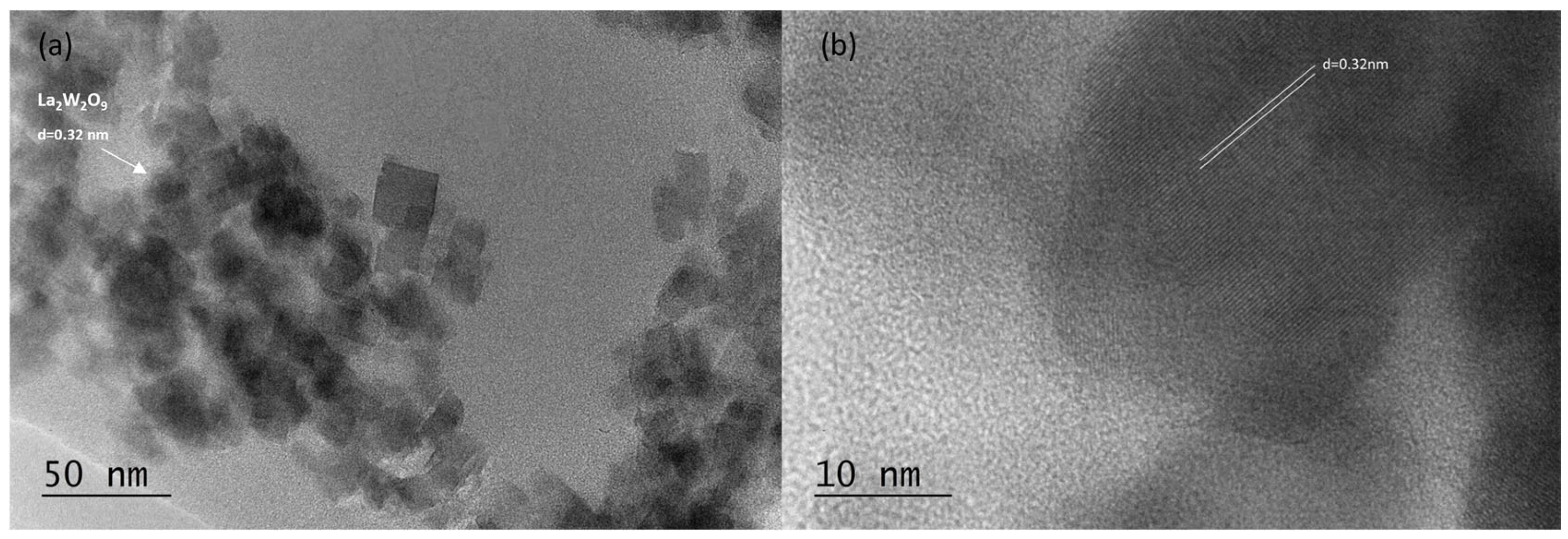 Molecules 30 00832 g006