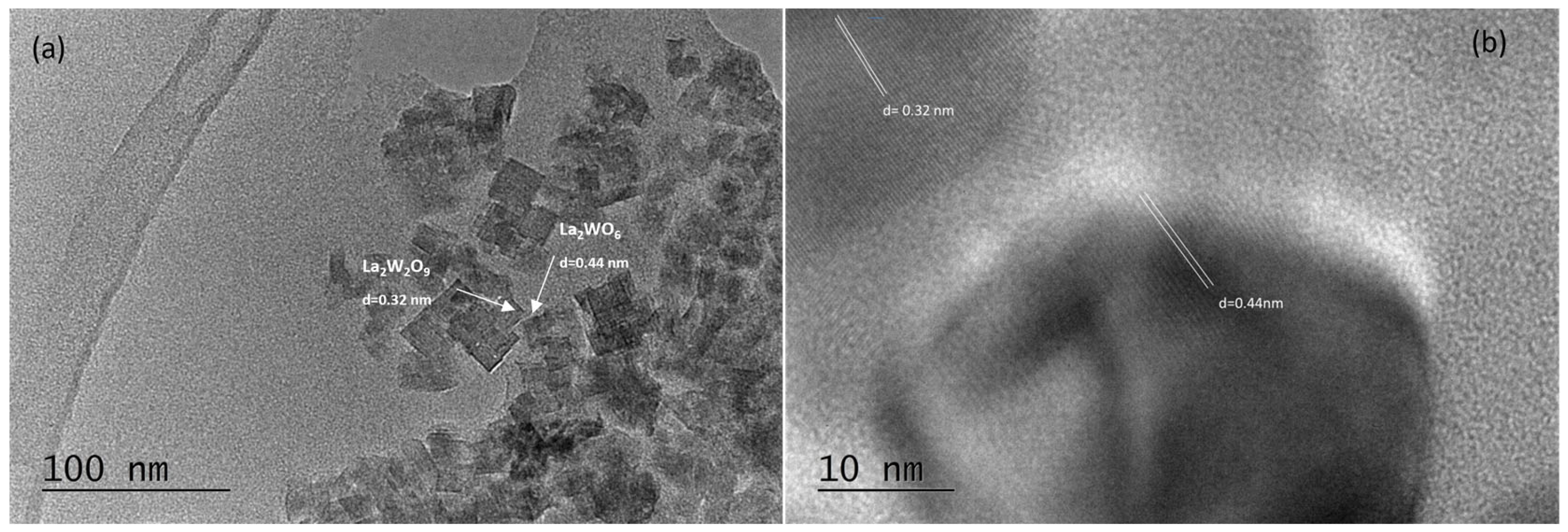 Molecules 30 00832 g007