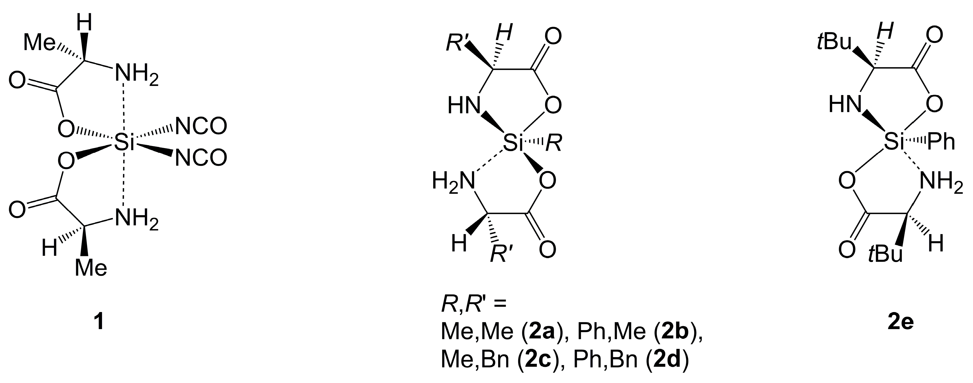 Molecules 30 00834 g003
