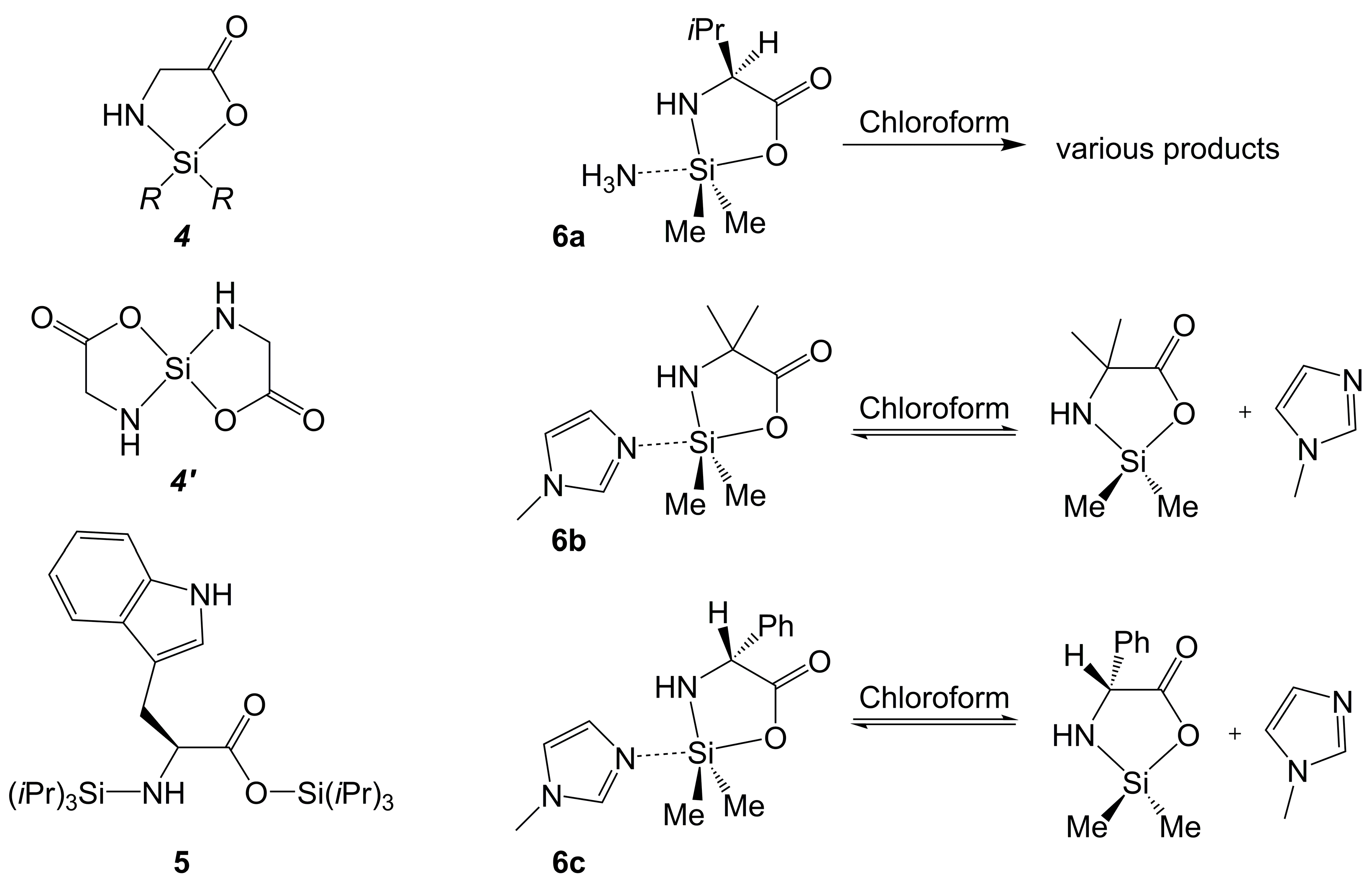 Molecules 30 00834 g005