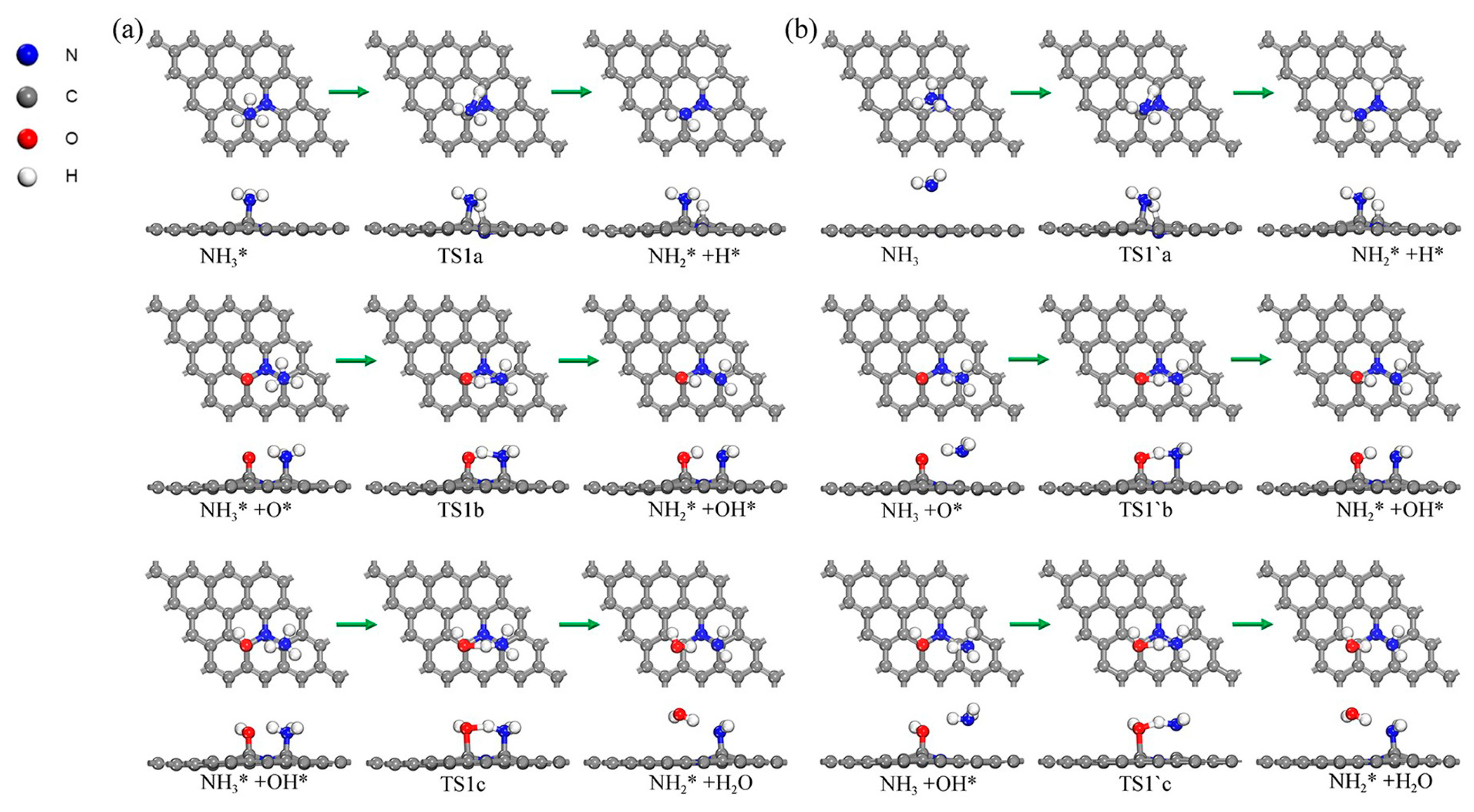 Molecules 30 00837 g011