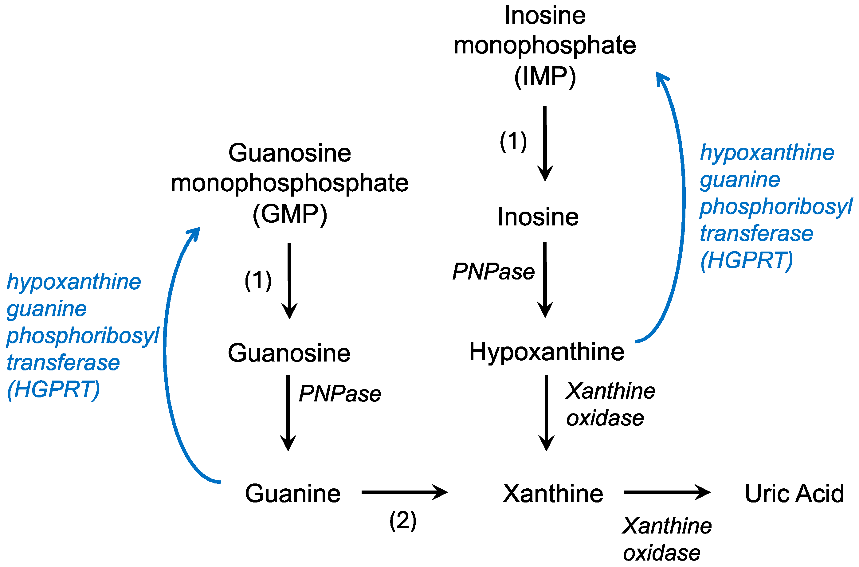 Molecules 30 00839 g001